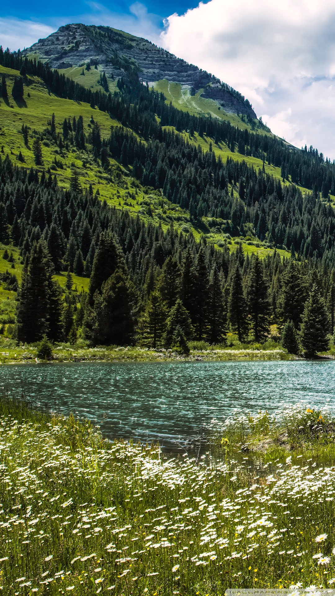 Along the Slate River, Crested Butte, Colorado Ultra HD Desktop Background Wallpaper for 4K UHD TV, Widescreen & UltraWide Desktop & Laptop, Multi Display, Dual Monitor, Tablet