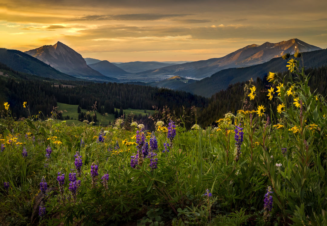 Things You Can't Miss in Crested Butte