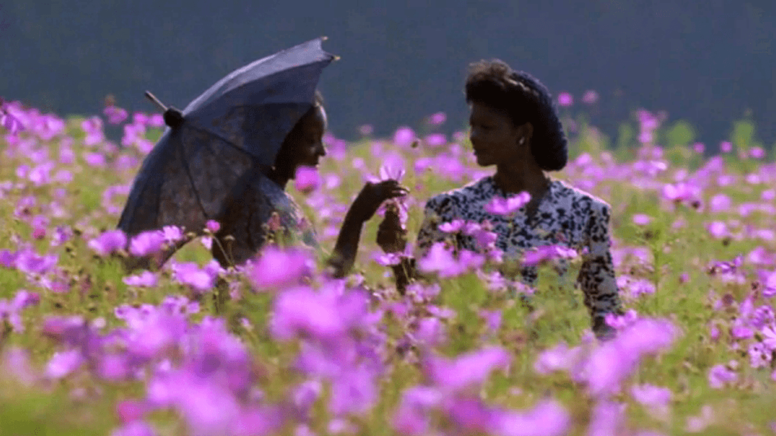 The Color Purple