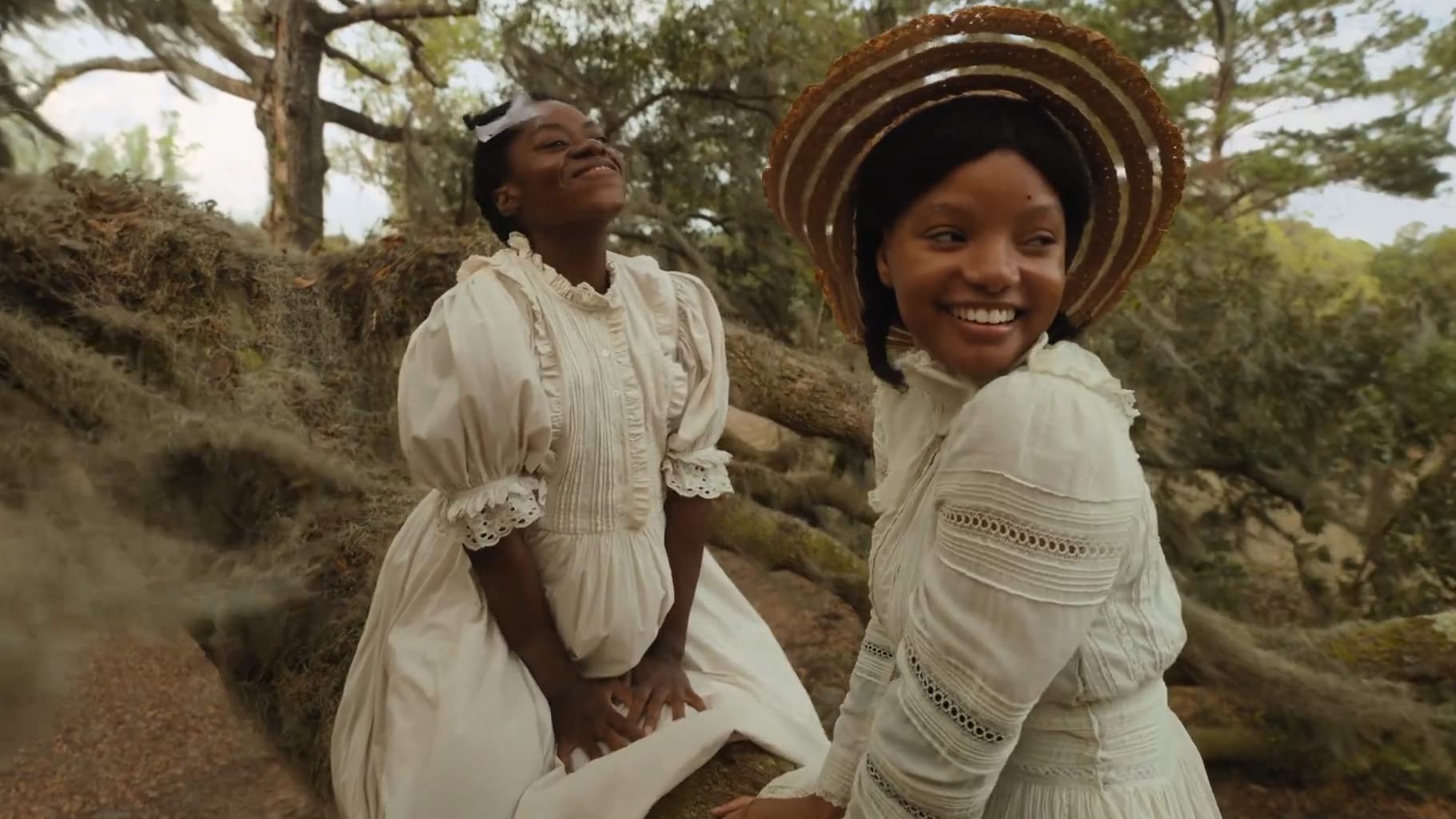 Trailer: Universal Picture Presents 'The Color Purple'