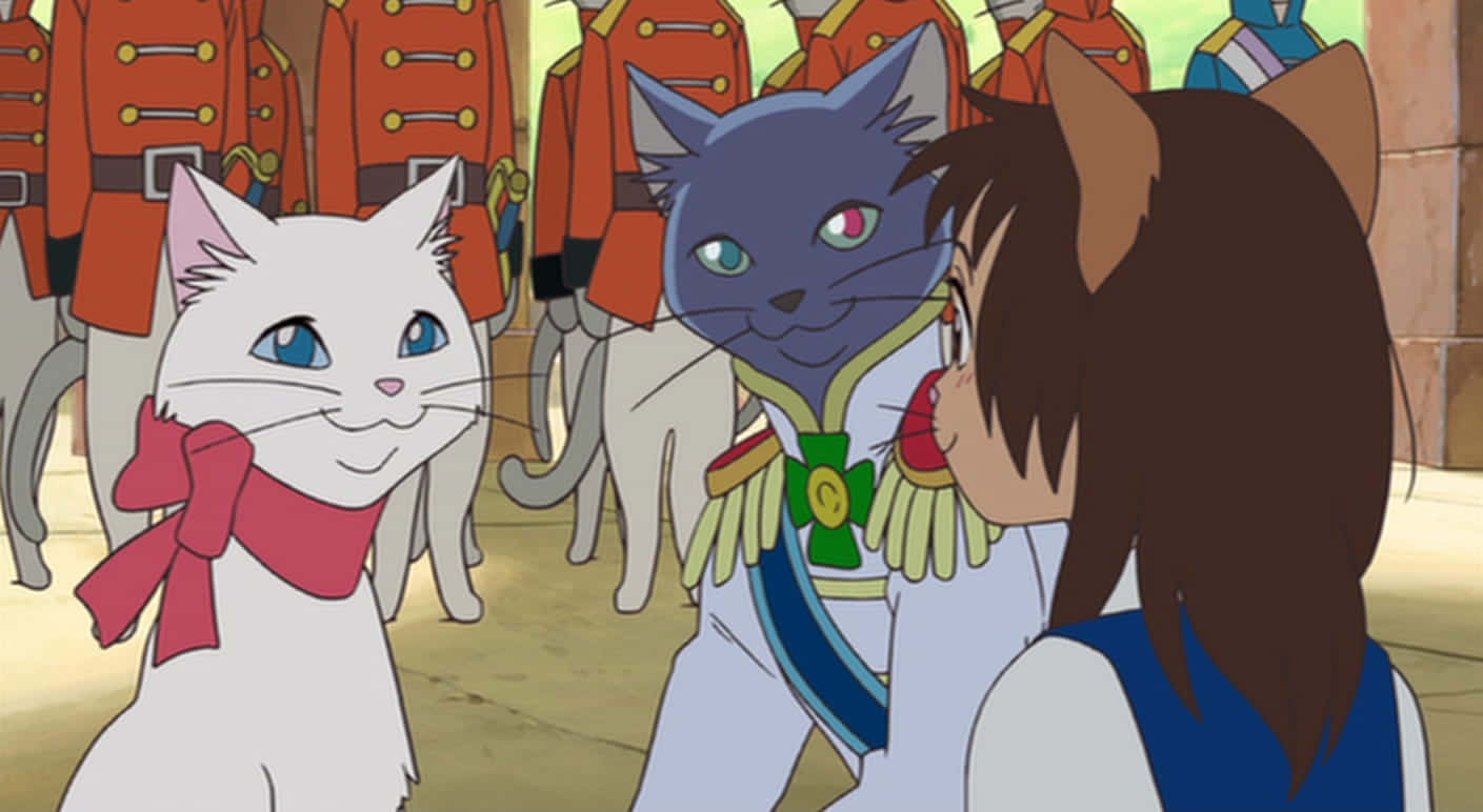 Download The Cat Returns Ghibli Anime Film Wallpaper