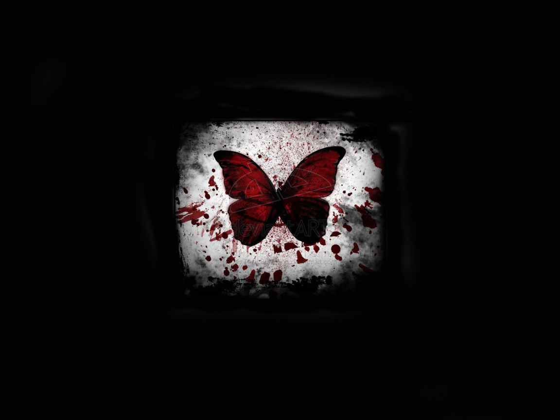 Download wallpaper light, butterfly, blood, black background, spot, section minimalism in resolution 1152x864