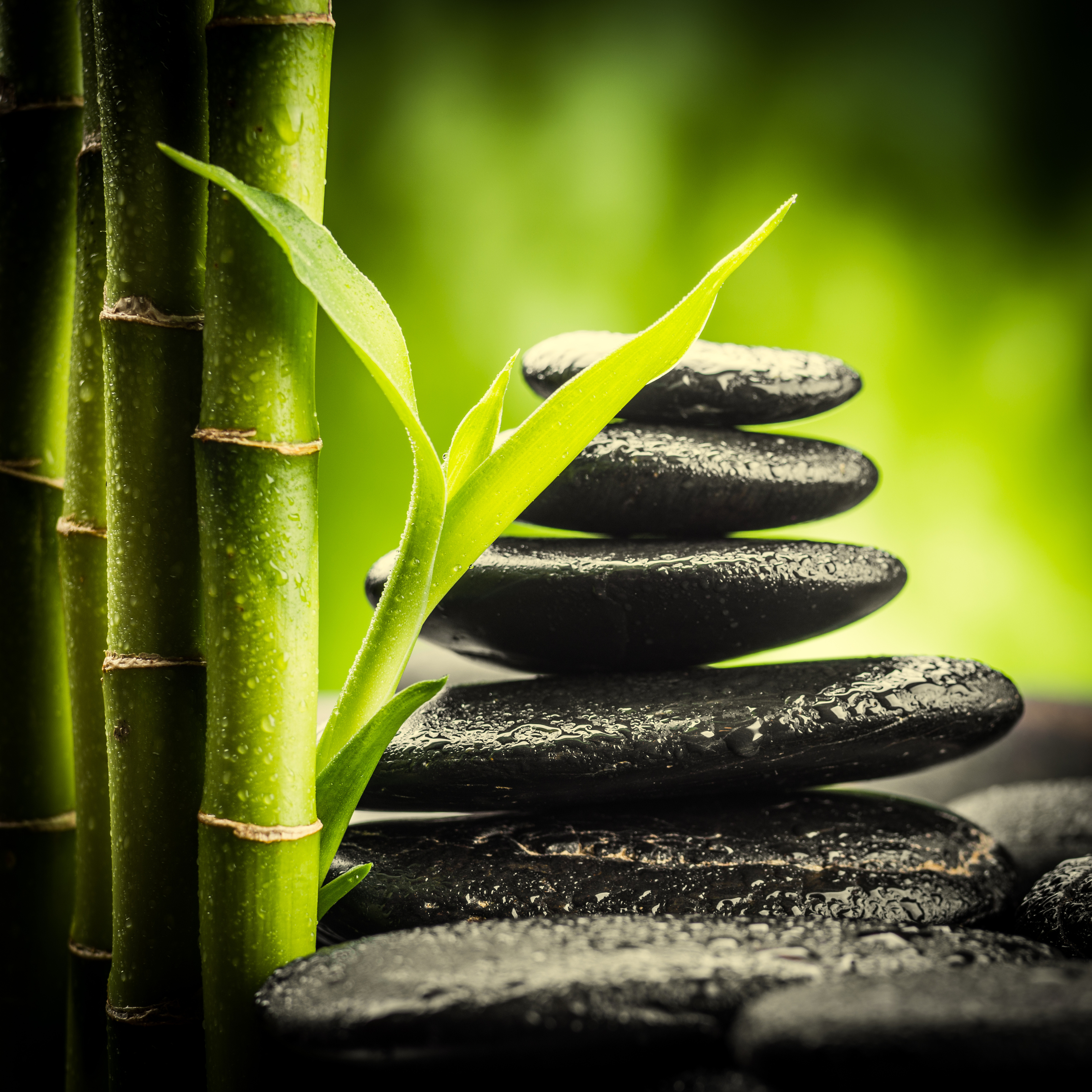 Zen Basalt Stones And Bamboo Mural Your Way