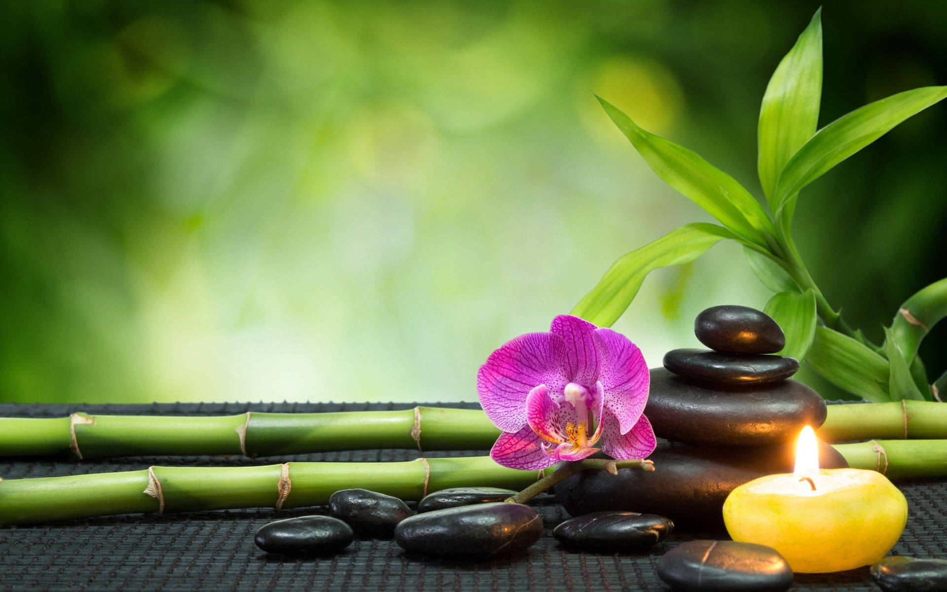 Download Orchid And Zen Stones With Bamboo For Therapy Wallpaper
