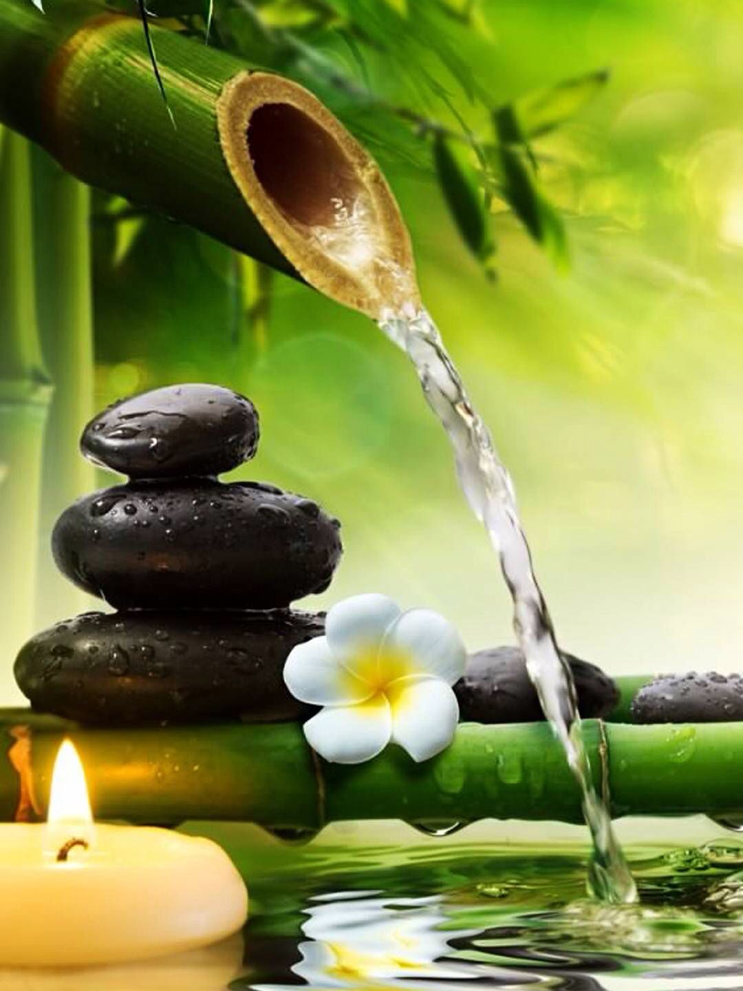 textures. Zen picture, Zen wallpaper, Wallpaper nature flowers