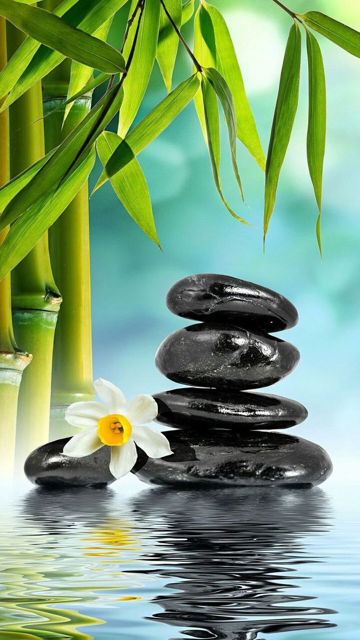 Tranquility and calm #zen #calm #Tranquility. Zen wallpaper, Zen picture, iPhone wallpaper zen