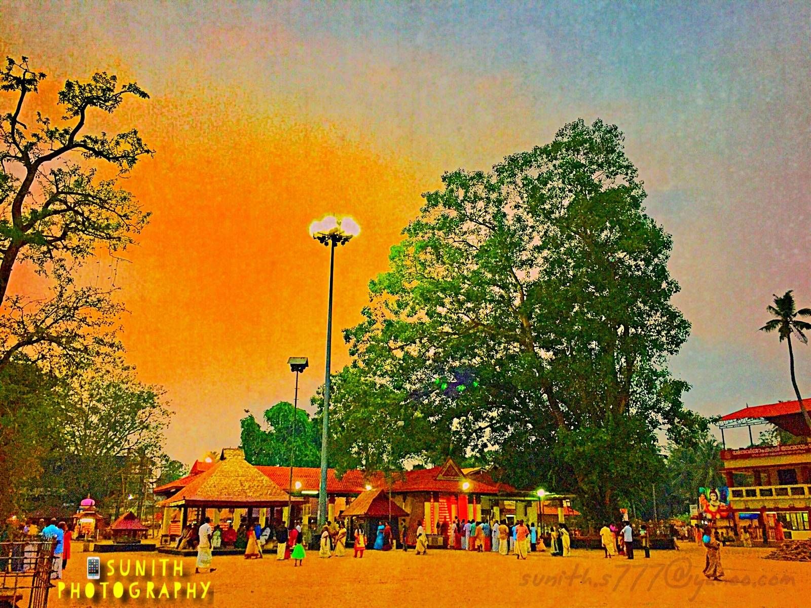 chettikulangara devi temple. Photography, Painting, Devi