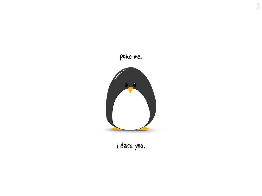 Download free Cute Chubby Penguin Art Wallpaper