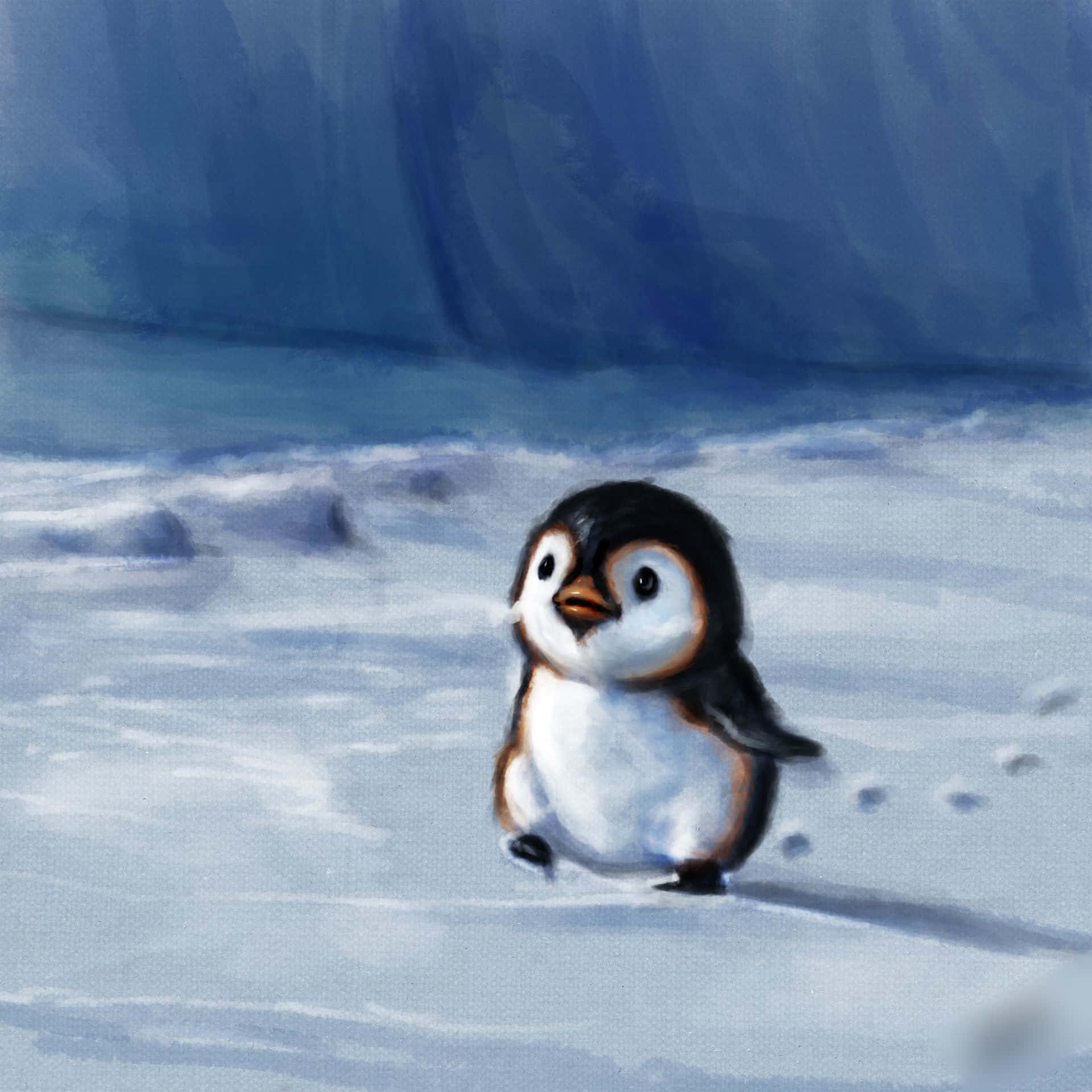 Cute Penguin Picture