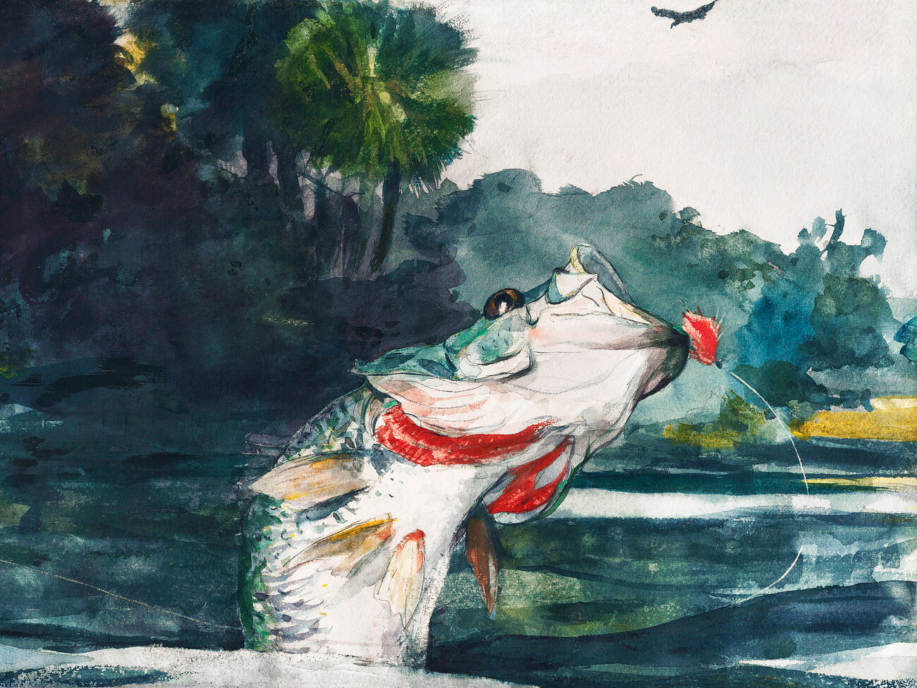 Life Size Black Bass (Vintage Fishing) Homer Wall Mural. Buy Online At Abposters.com