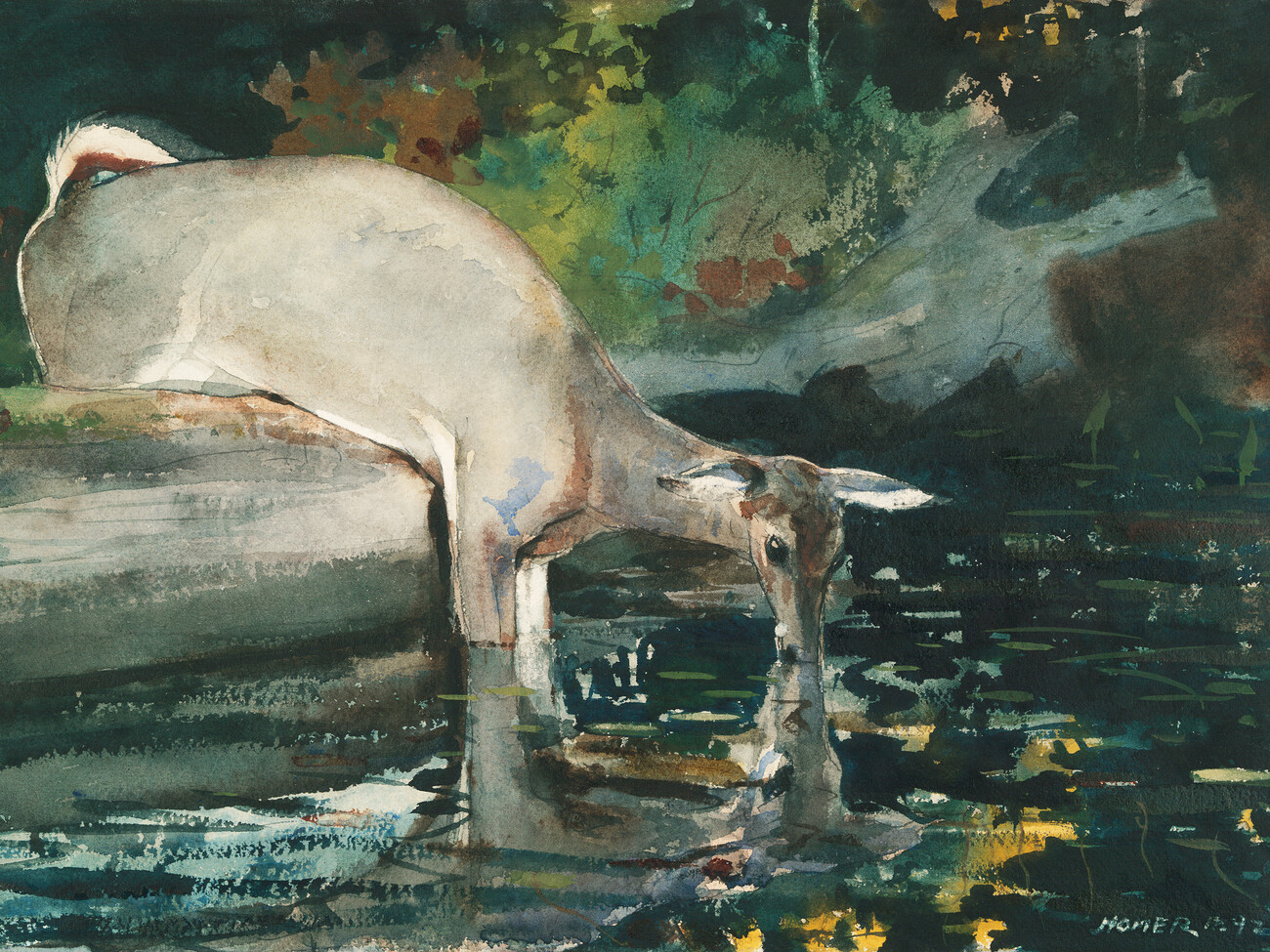 Deer Drinking (Woodland Lake Landscape) Homer. Reproductions of famous paintings for your wall