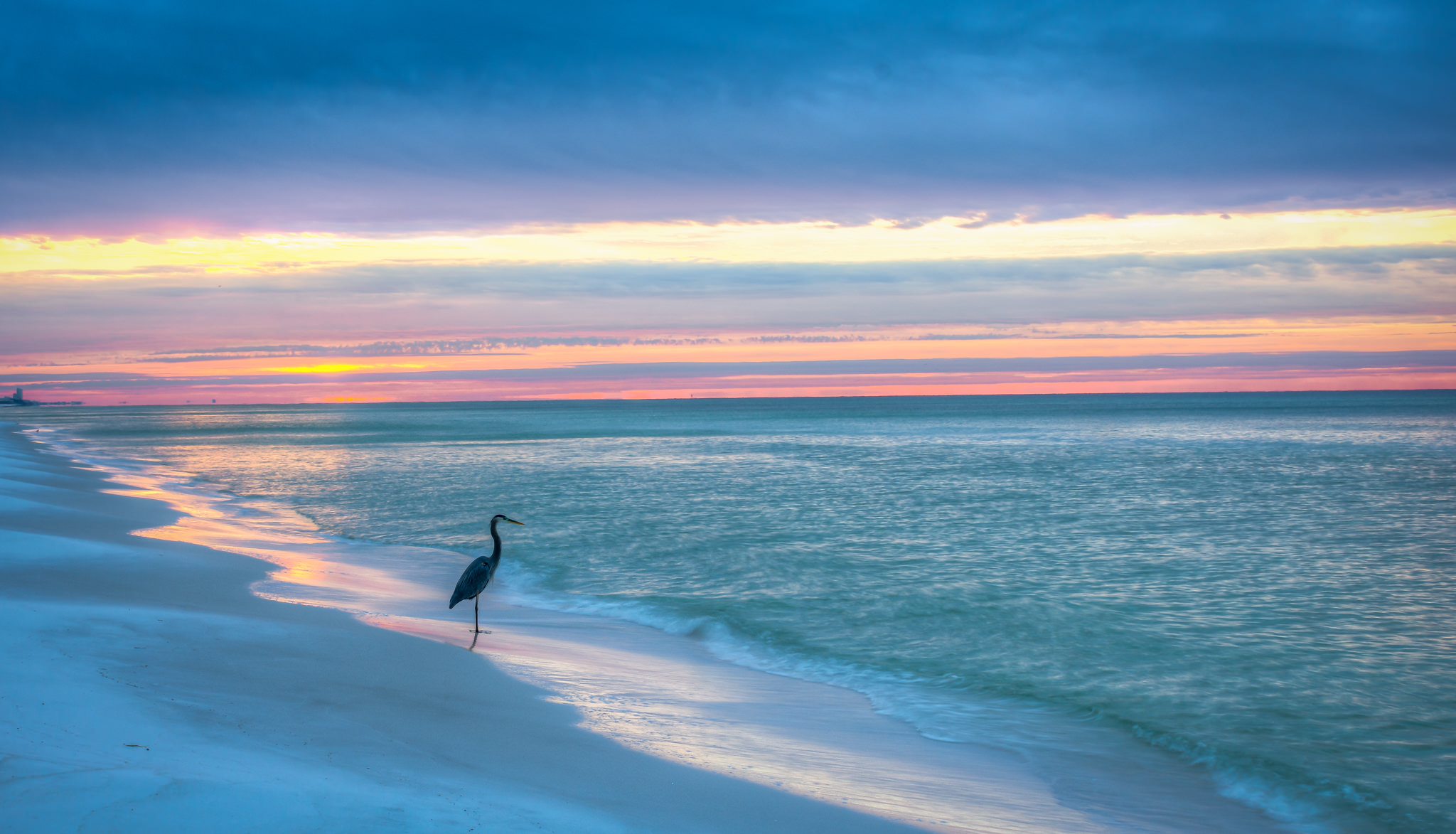 Heron On Florida Gulf Coast Beach HD WALLPAPER