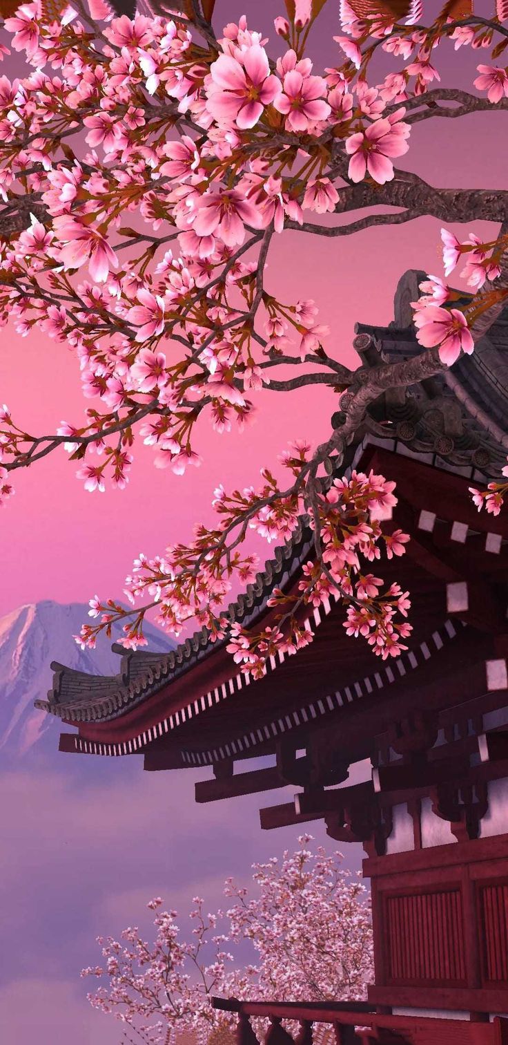 Captivating Cherry Blossom Wallpaper