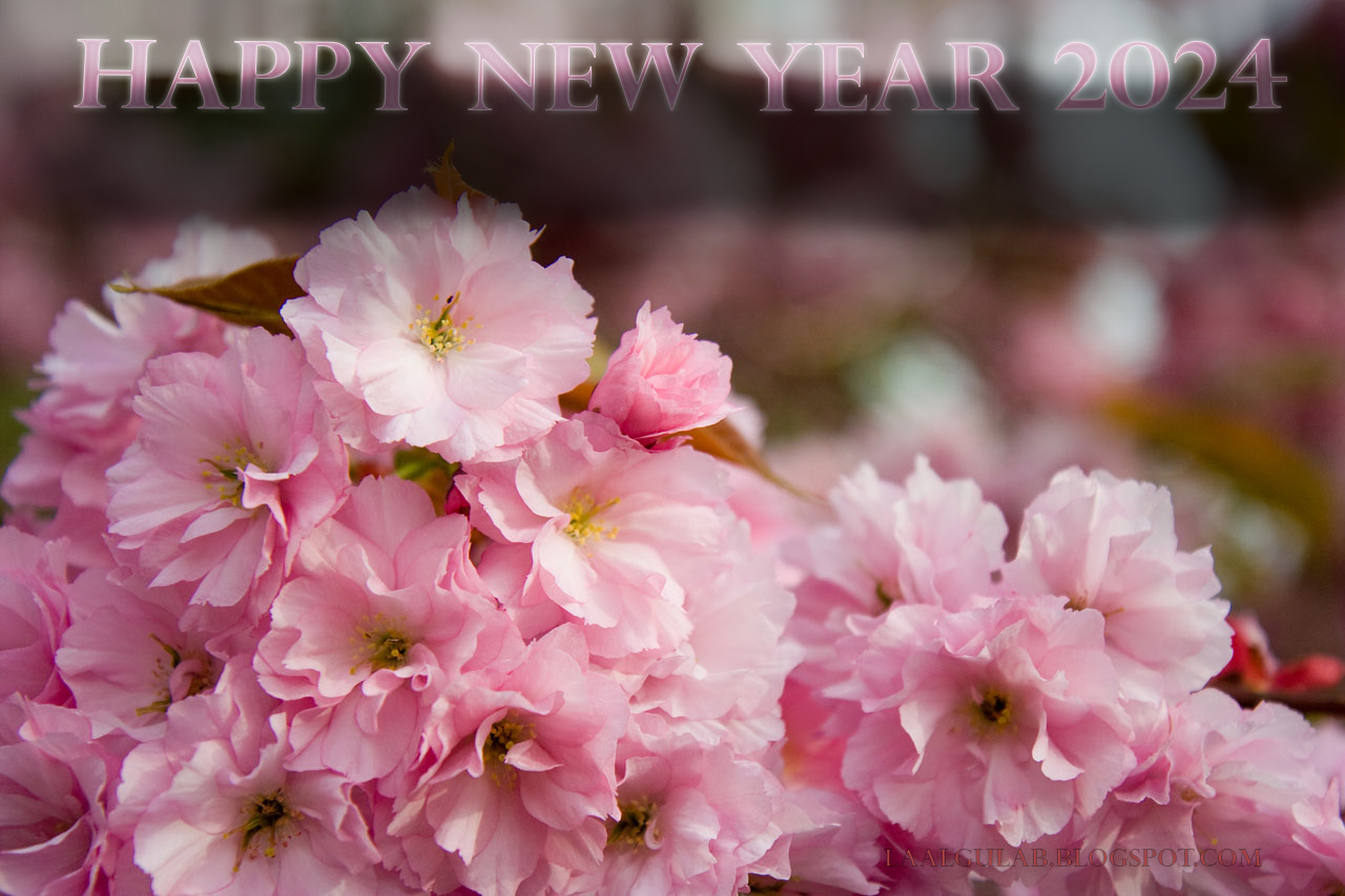 Happy New Year 2024 Wallpaper