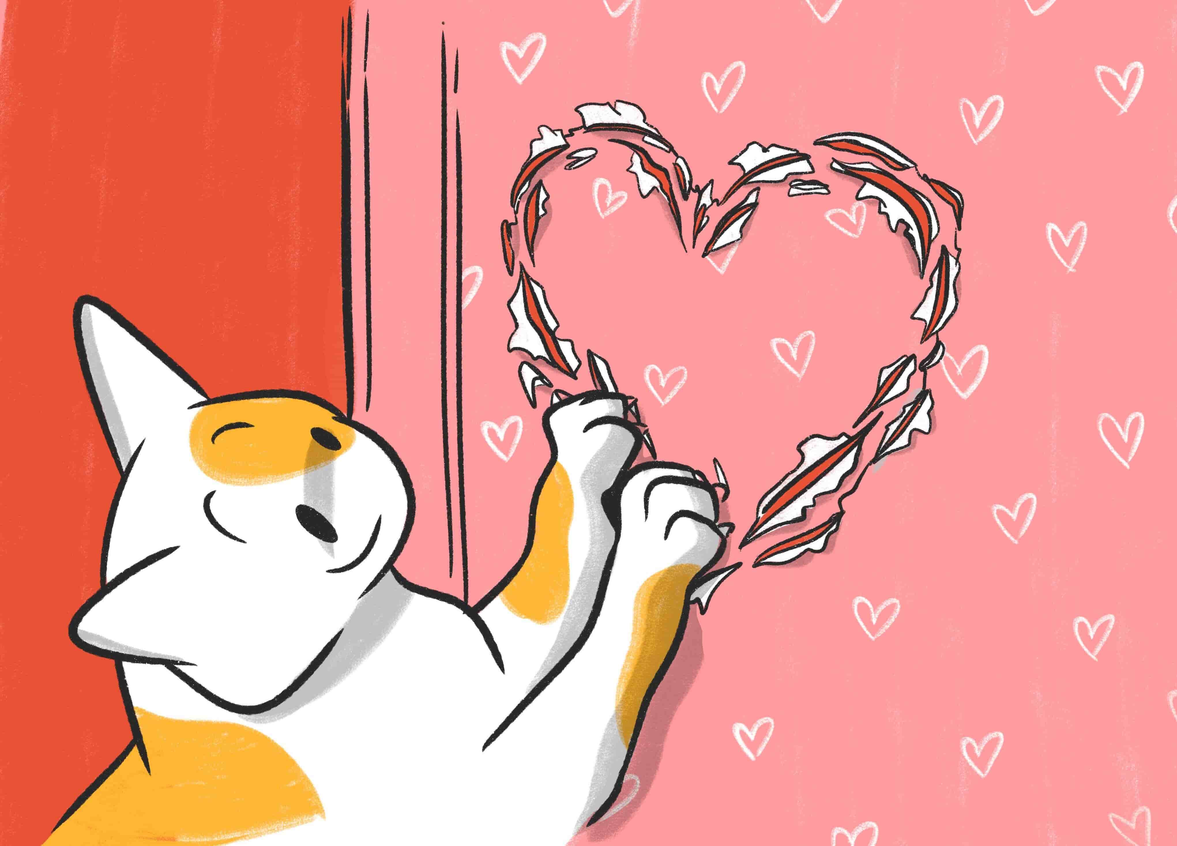 Dog Valentines Day Or Valentine Cat: 5 Ways To Celebrate St.V Day