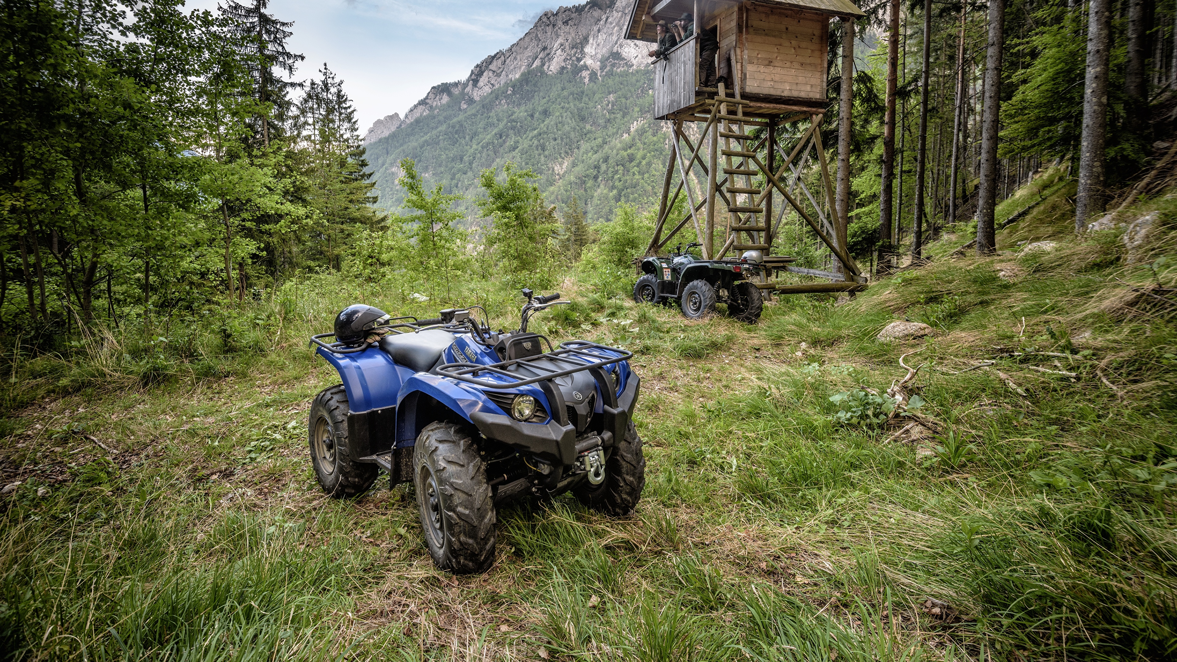 Yamaha Grizzly 450 EPS Grass 3840x2160