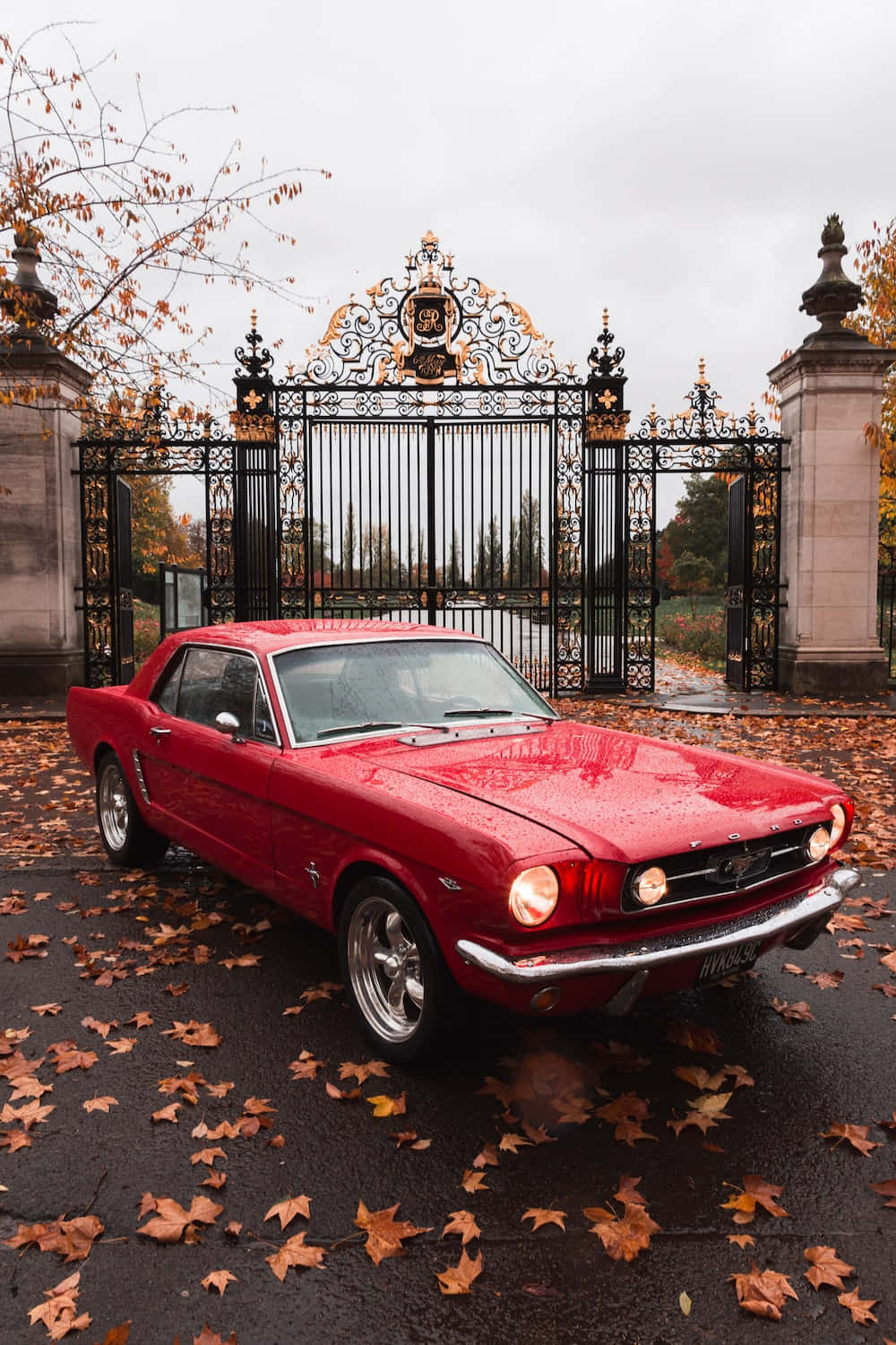 Download First Gen Red Ford Mustang Car Picture