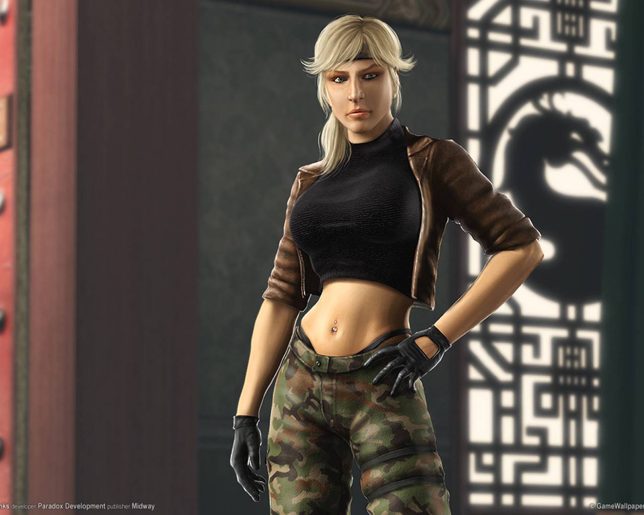 HD desktop wallpaper: Mortal Kombat, Video Game, Sonya Blade download free picture
