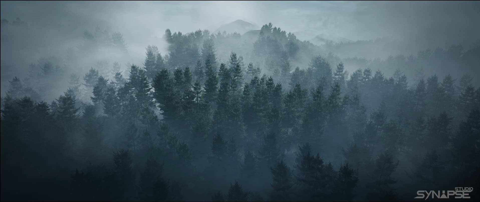 Unveiling the Enigma: Journey into the Mystical Forest Developer Community Forums