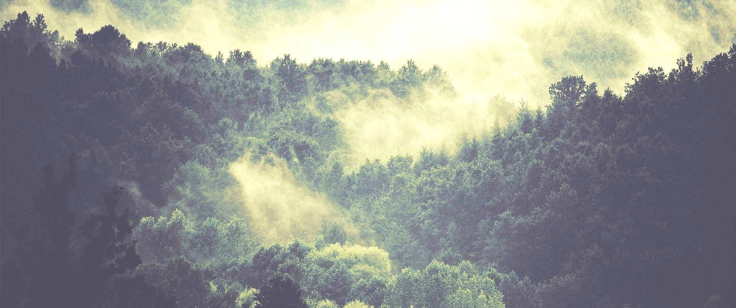 Buy Hypnosis Recorded Sessions Now