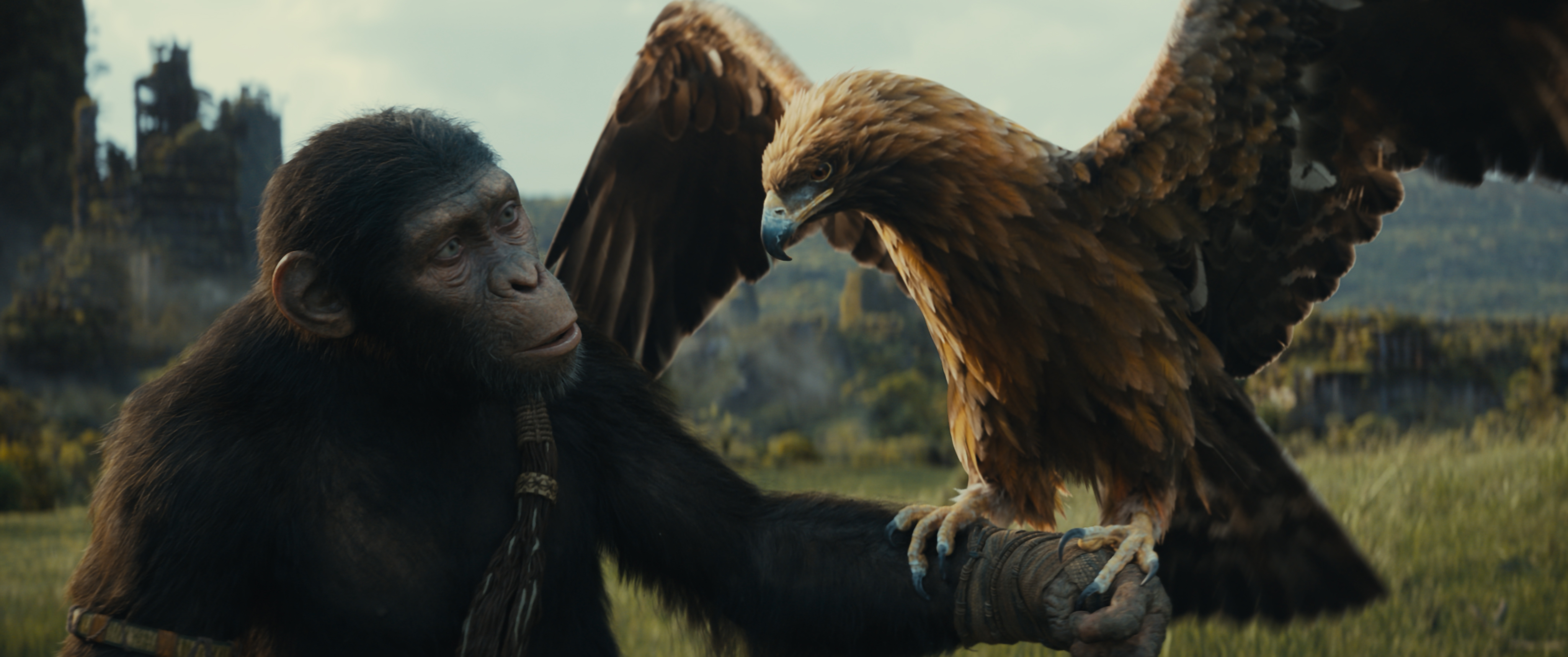 20th Century Studios reveal first trailer and image for “Kingdom of the Planet of the Apes” exclusively in theaters May 24, 2024