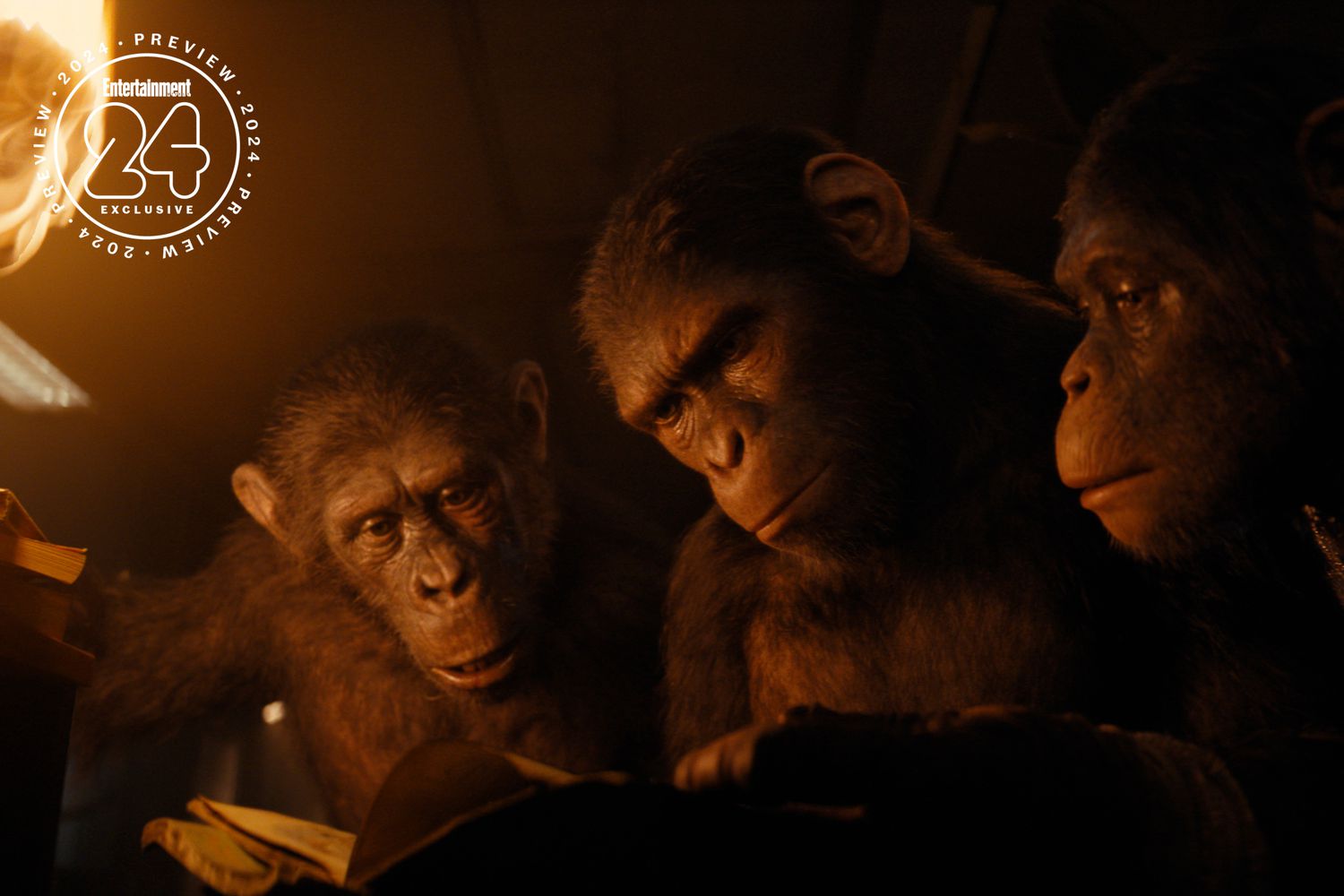 Kingdom of the Planet of the Apes' sets