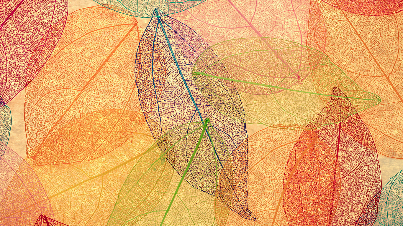 wallpaper for desktop, laptop. rainbow color leaf art fall nature pattern