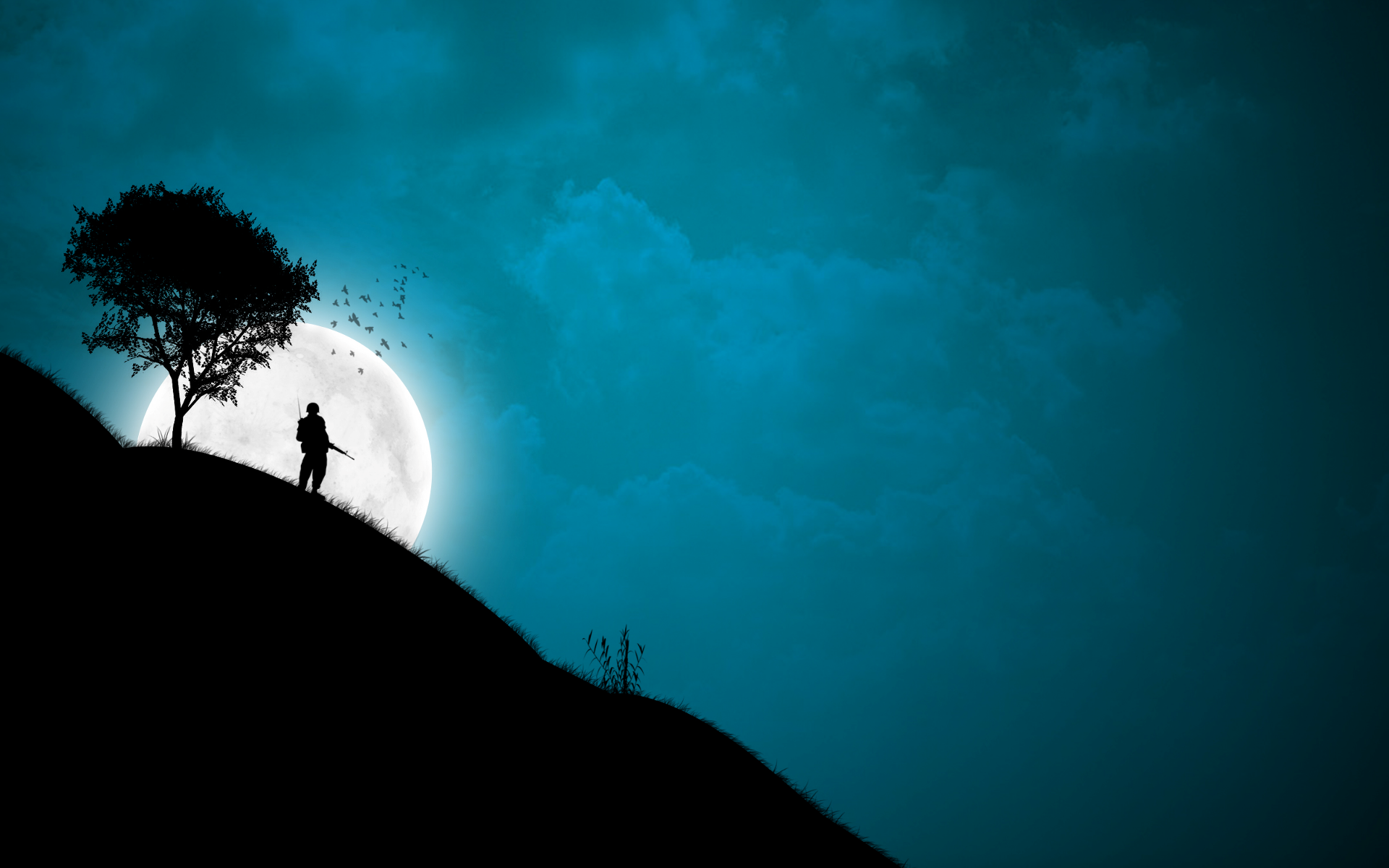 HD Wallpaper: Soldier Silhouette Against the Moonlit Sky