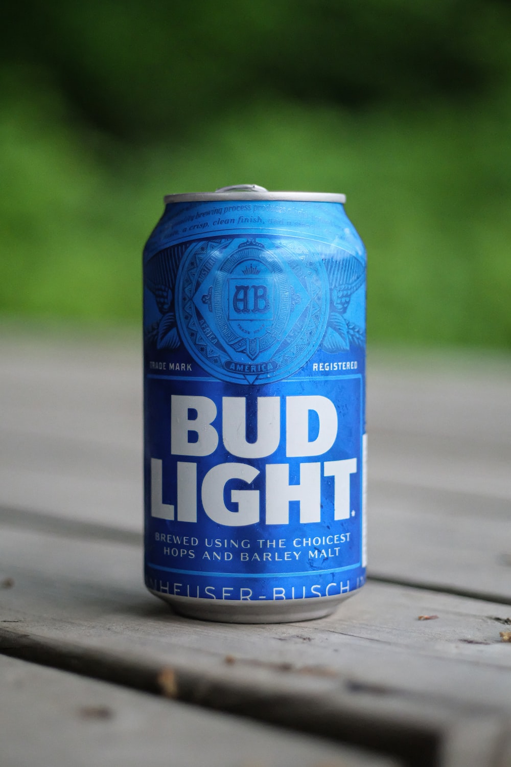 Beer Can Picture [HD]. Download Free Image