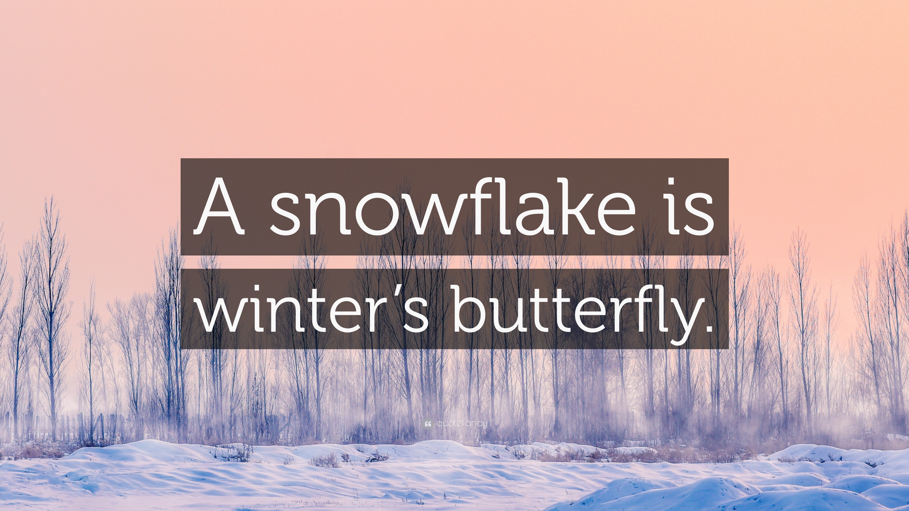 A snowflake is winter's butterfly.” Wallpaper