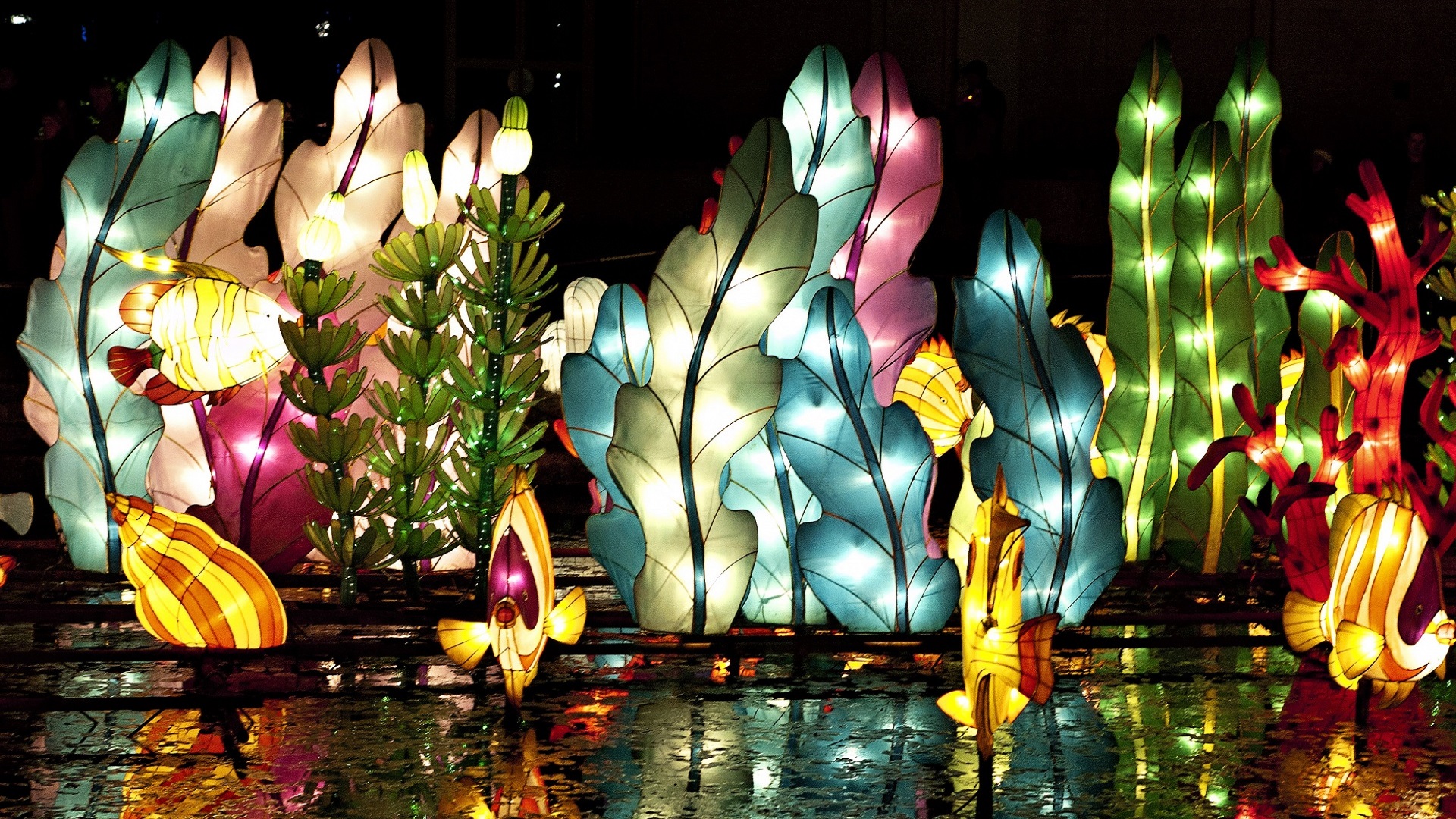 Chinese Lantern Festival