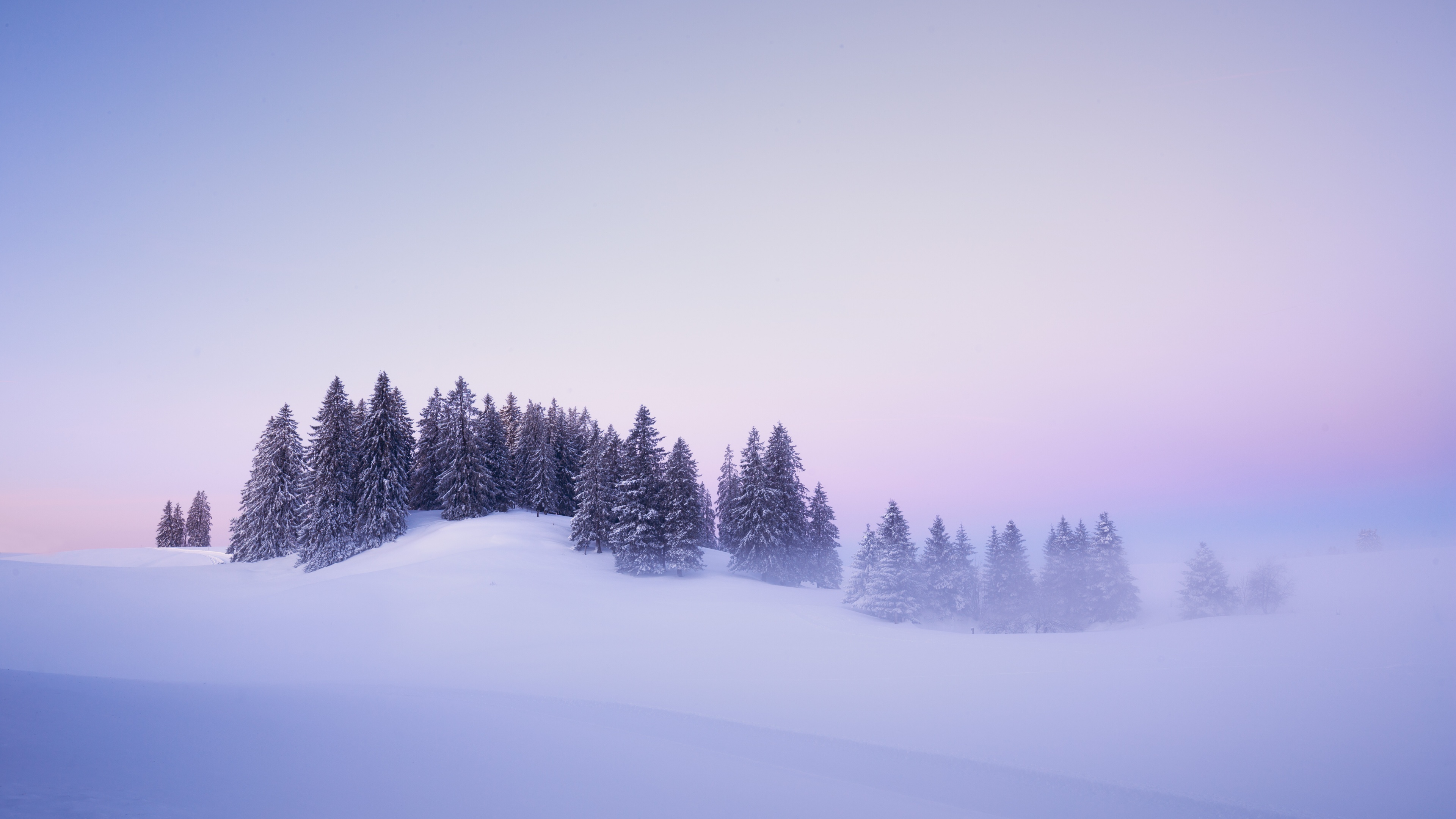 Winter Wallpaper 4K, Snow covered