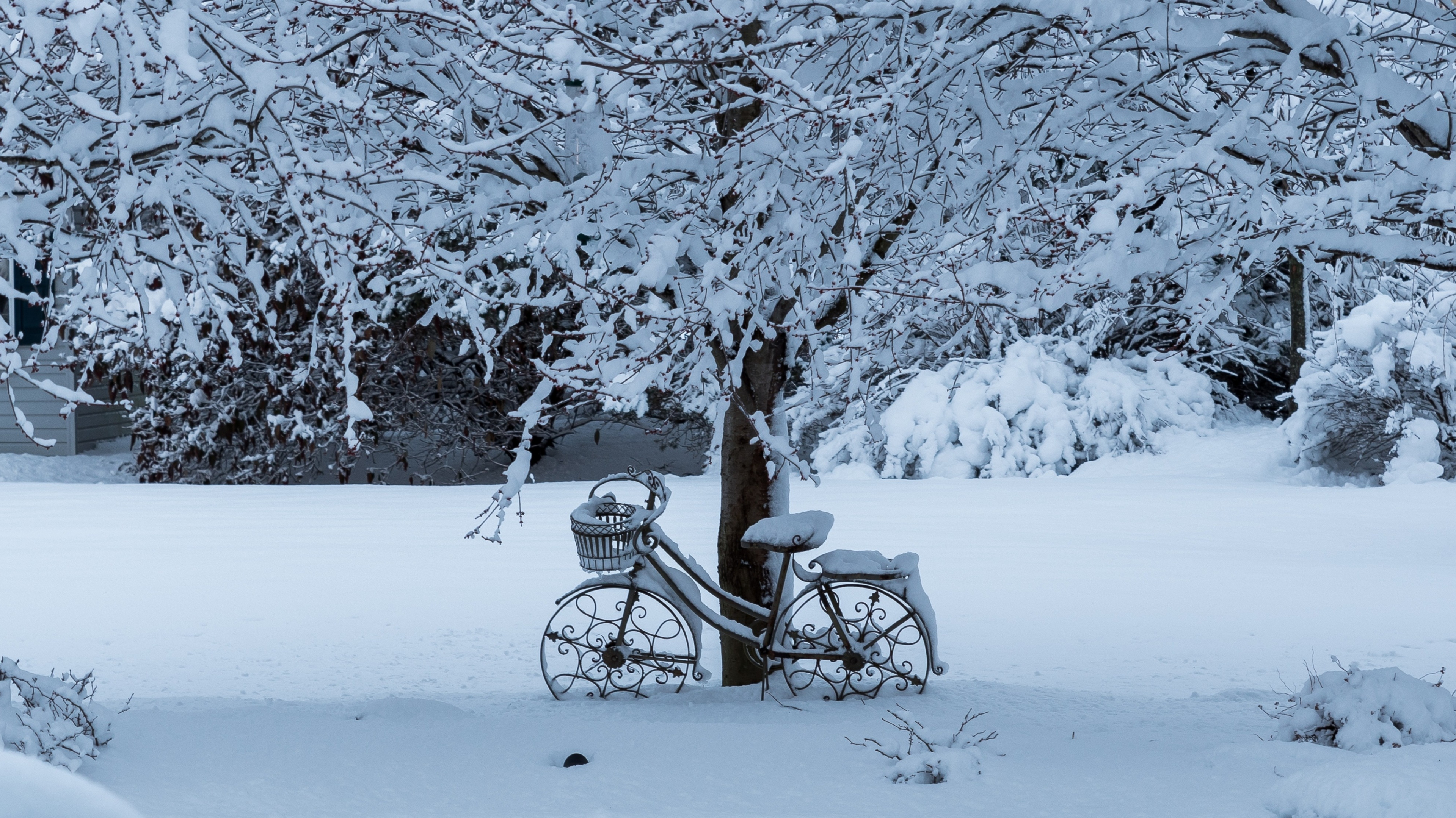 Download wallpaper 3840x2160 winter, tree, bicycle, snowfall 4k wallpaper, uhd wallpaper, 16:9 widescreen 3840x2160 HD background, 4006