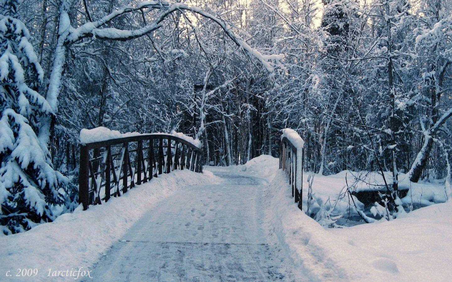 Download Winter Wallpaper for FREE [100,Mobile & Desktop]