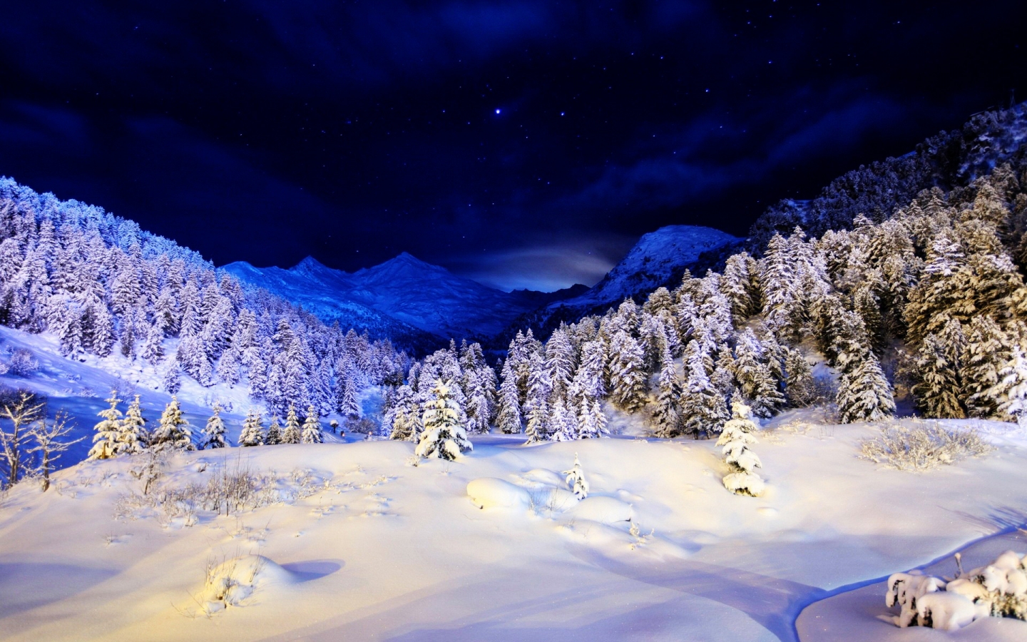 Blue Winter Night 1440 x 900 widescreen Wallpaper