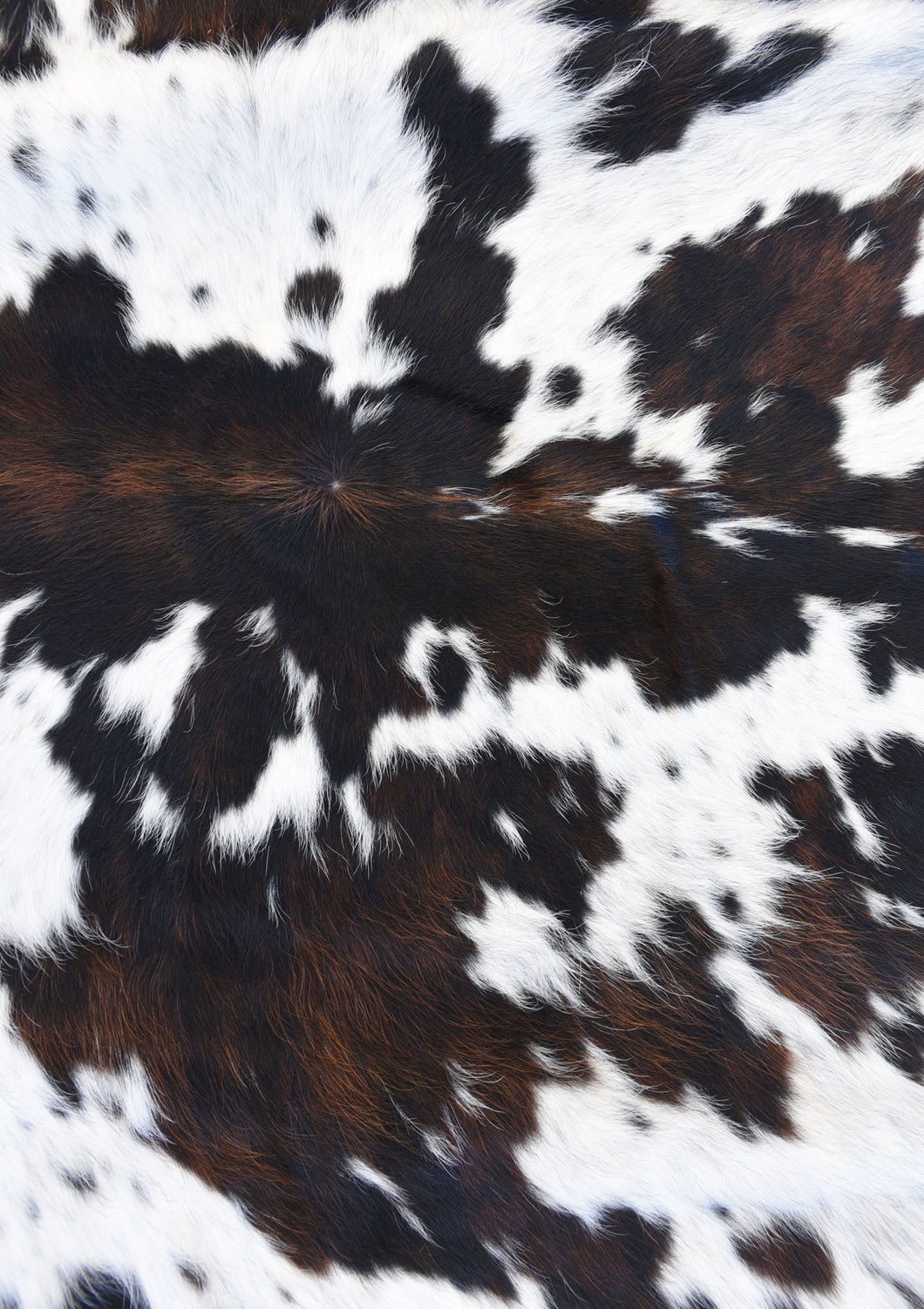 Cowhide Brown Black Western Cow Fur Print Mexico Colorful Ba