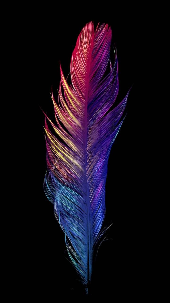 Download Neon Bird wallpaper by Electric Art now. Browse millions of popula. Feather wallpaper, Feather wallpaper iphone, HD cool wallpaper