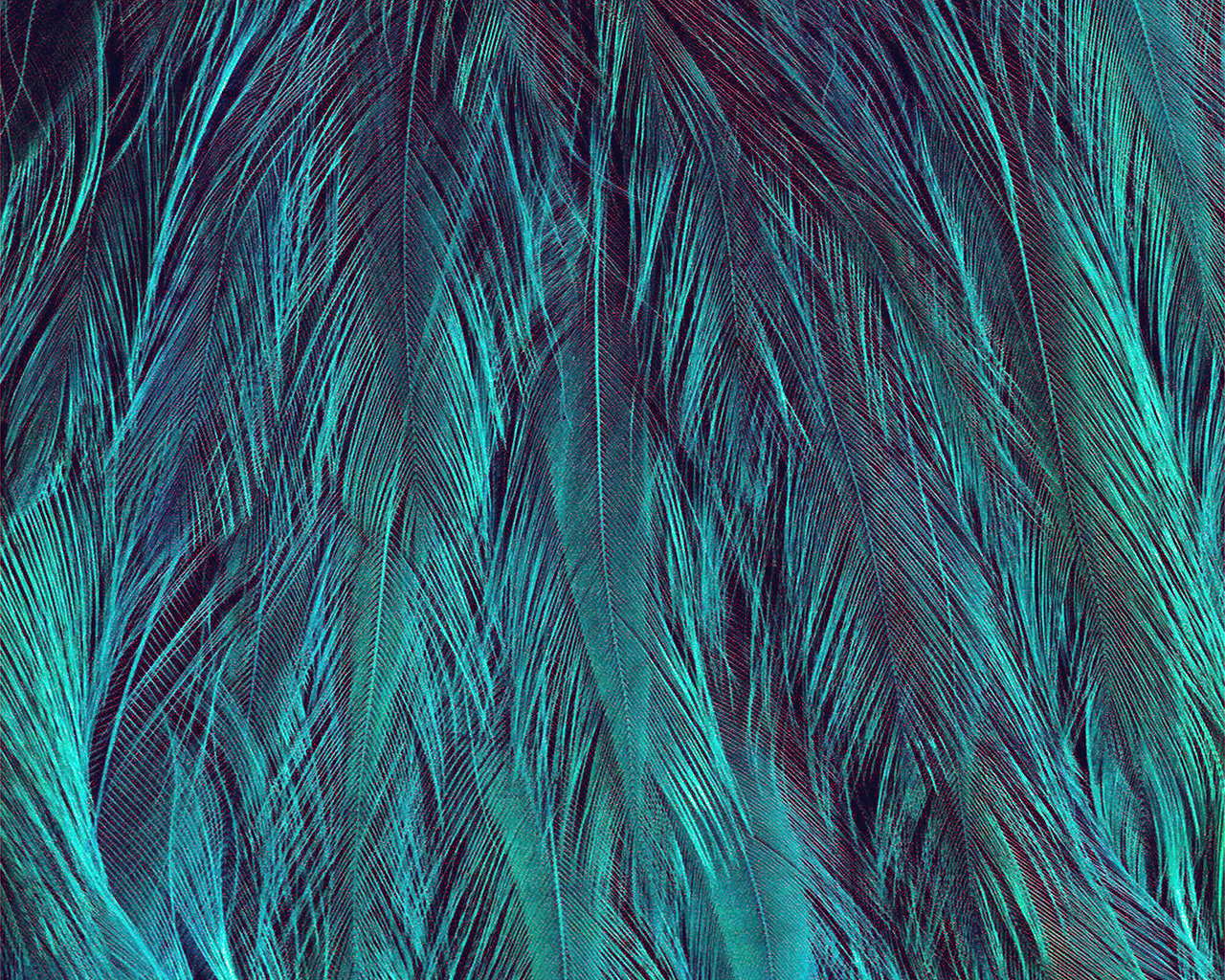 I Love Papers. feather green bird texture pattern