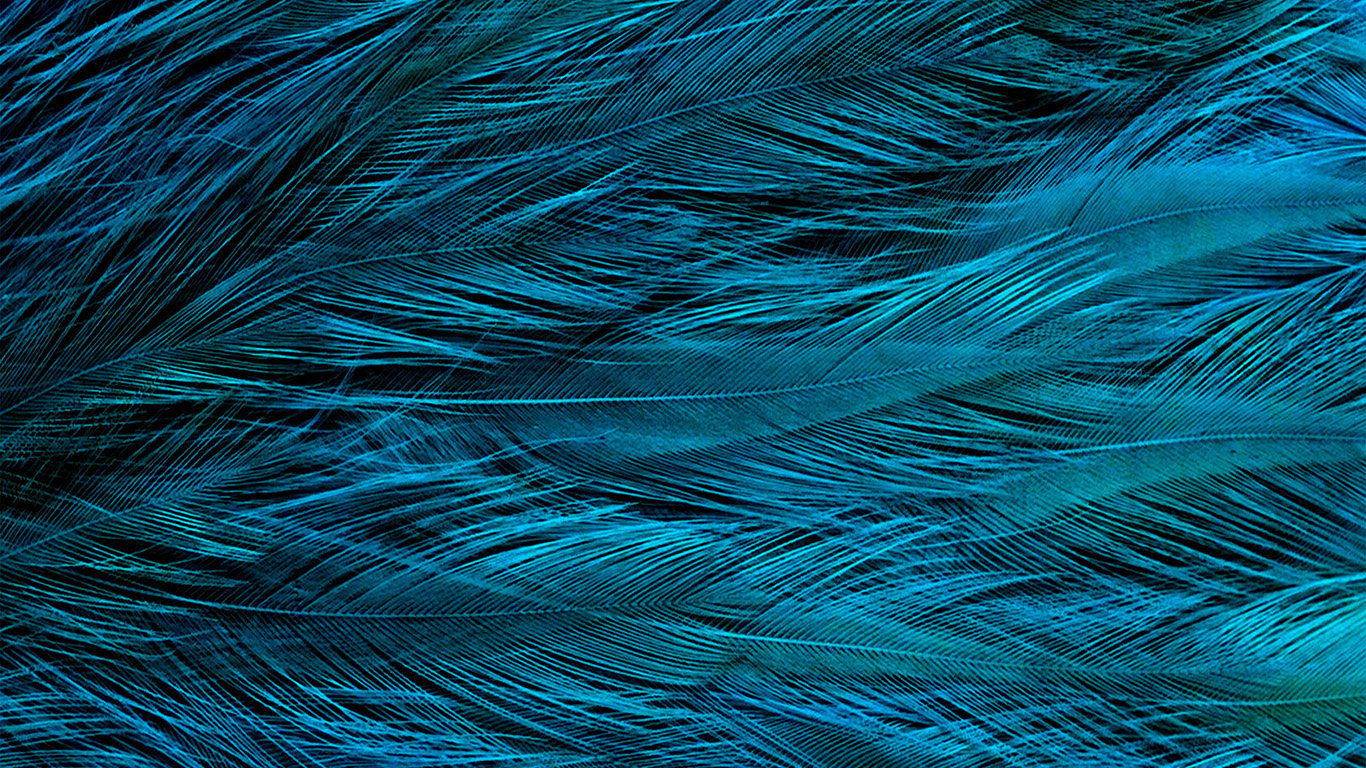 wallpaper for desktop, laptop. feather blue bird texture pattern