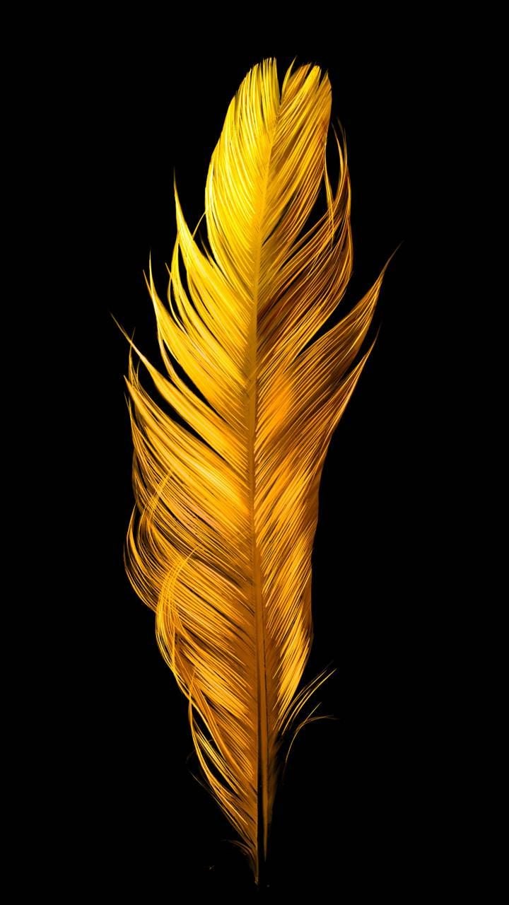 Golden Bird Feather wallpaper by Electric Art. f56f. Feather illustration, Gold wallpaper, Feather