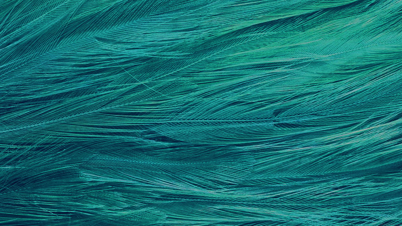 wallpaper for desktop, laptop. feather blue bird pattern