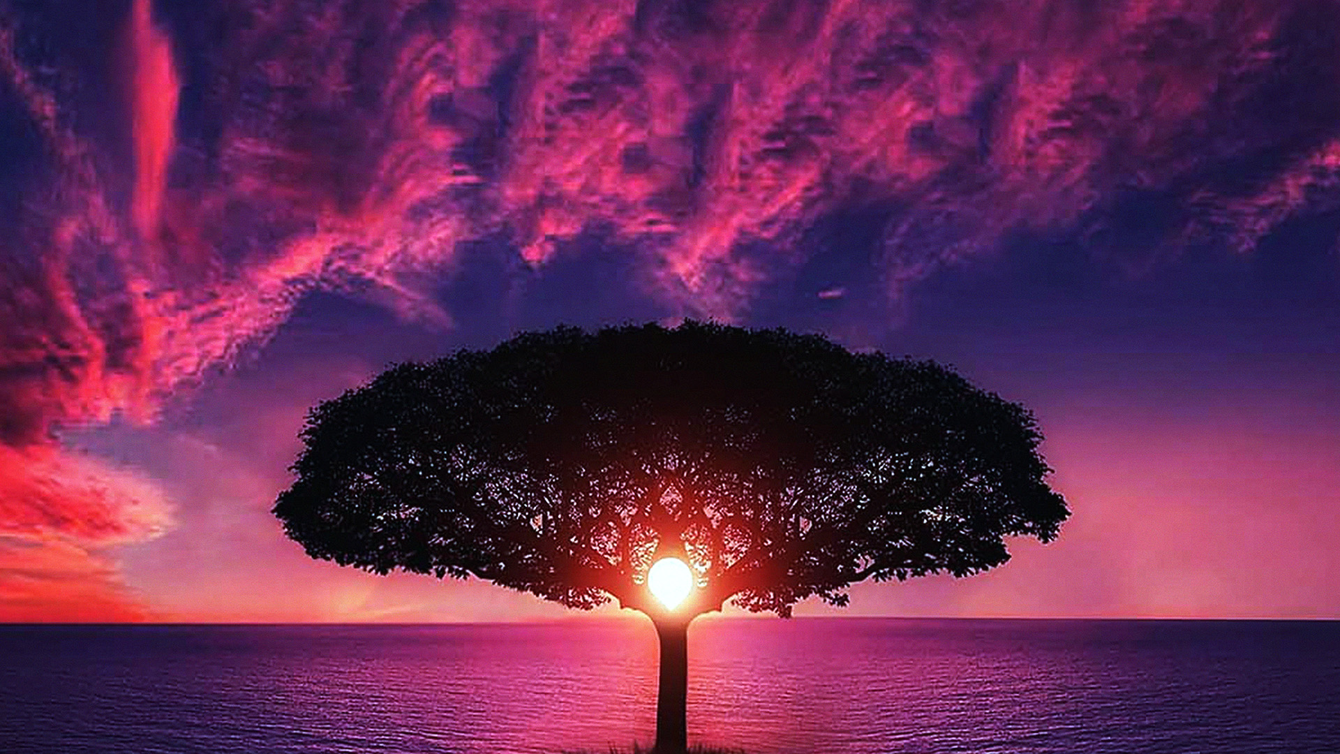wallpaper for desktop, laptop. sea tree purple sky nature red