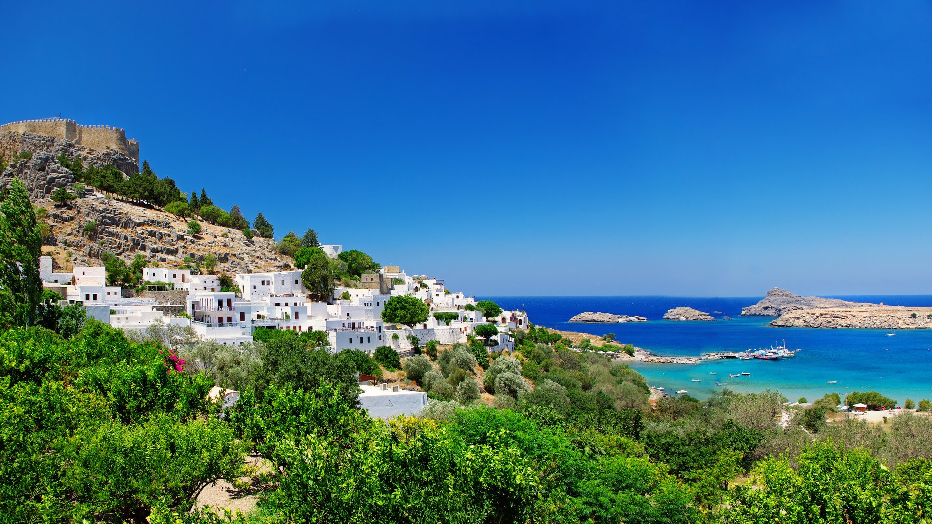 Rhodes Wallpaper, Phone Wallpaper, PFP, Gifs, and More!