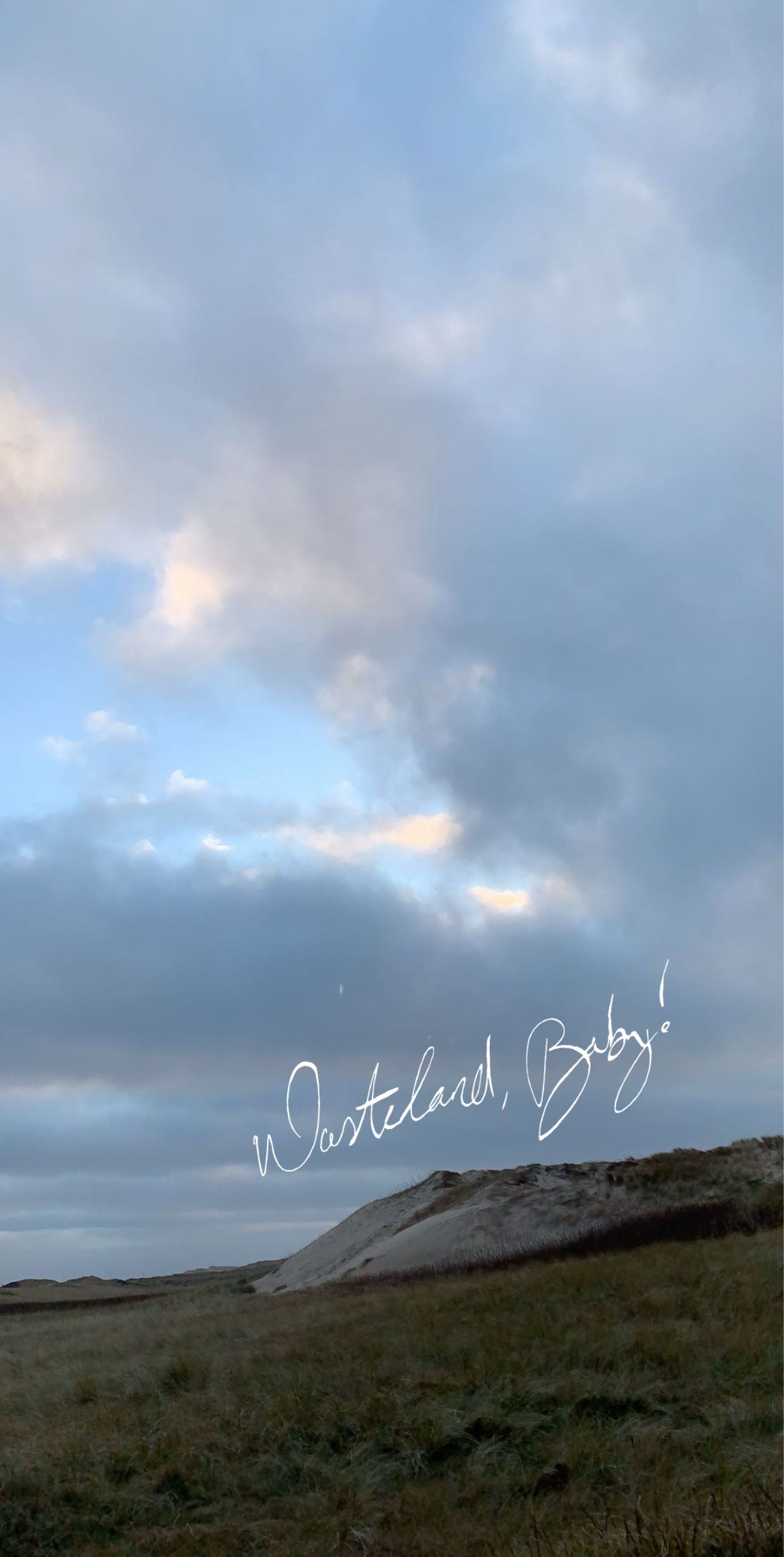 Hozier, Wasteland, Baby!. iPhone wallpaper photo, Cool wallpaper art, Iconic wallpaper