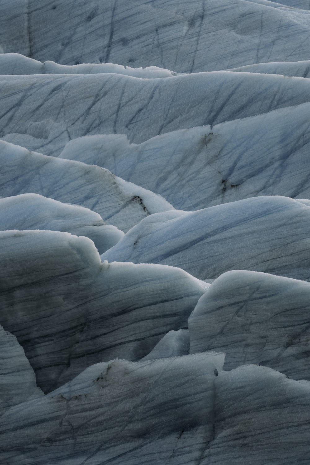 A bird is standing on the edge of a glacier photo