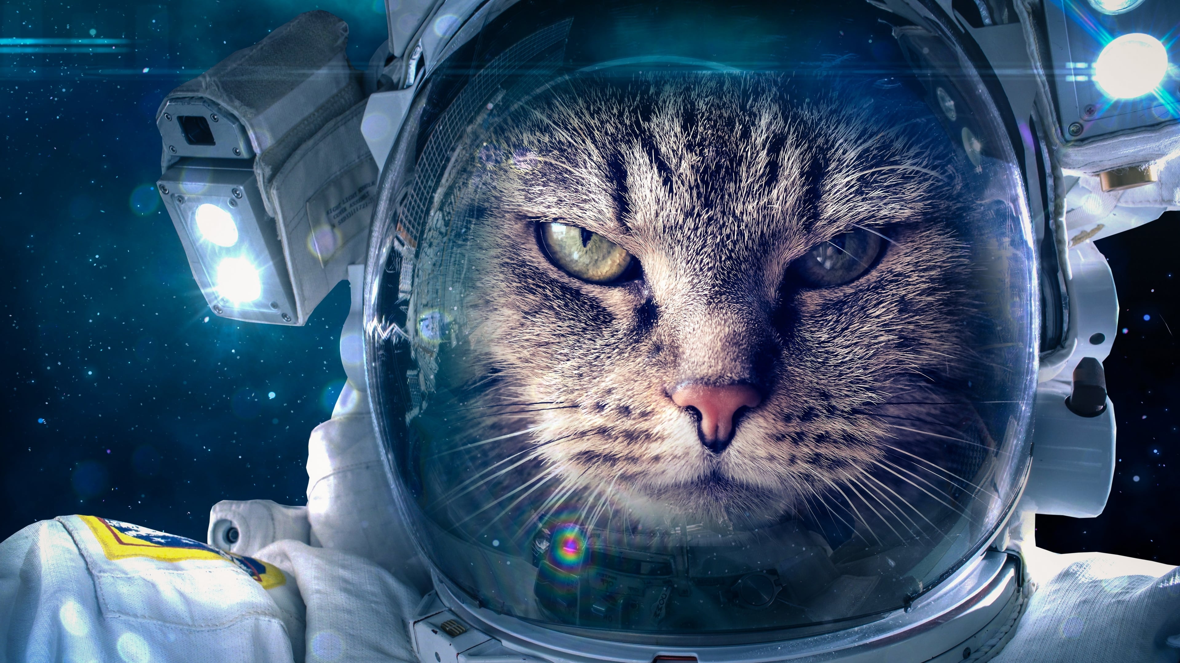 Cats Tronaut [3840x2160]