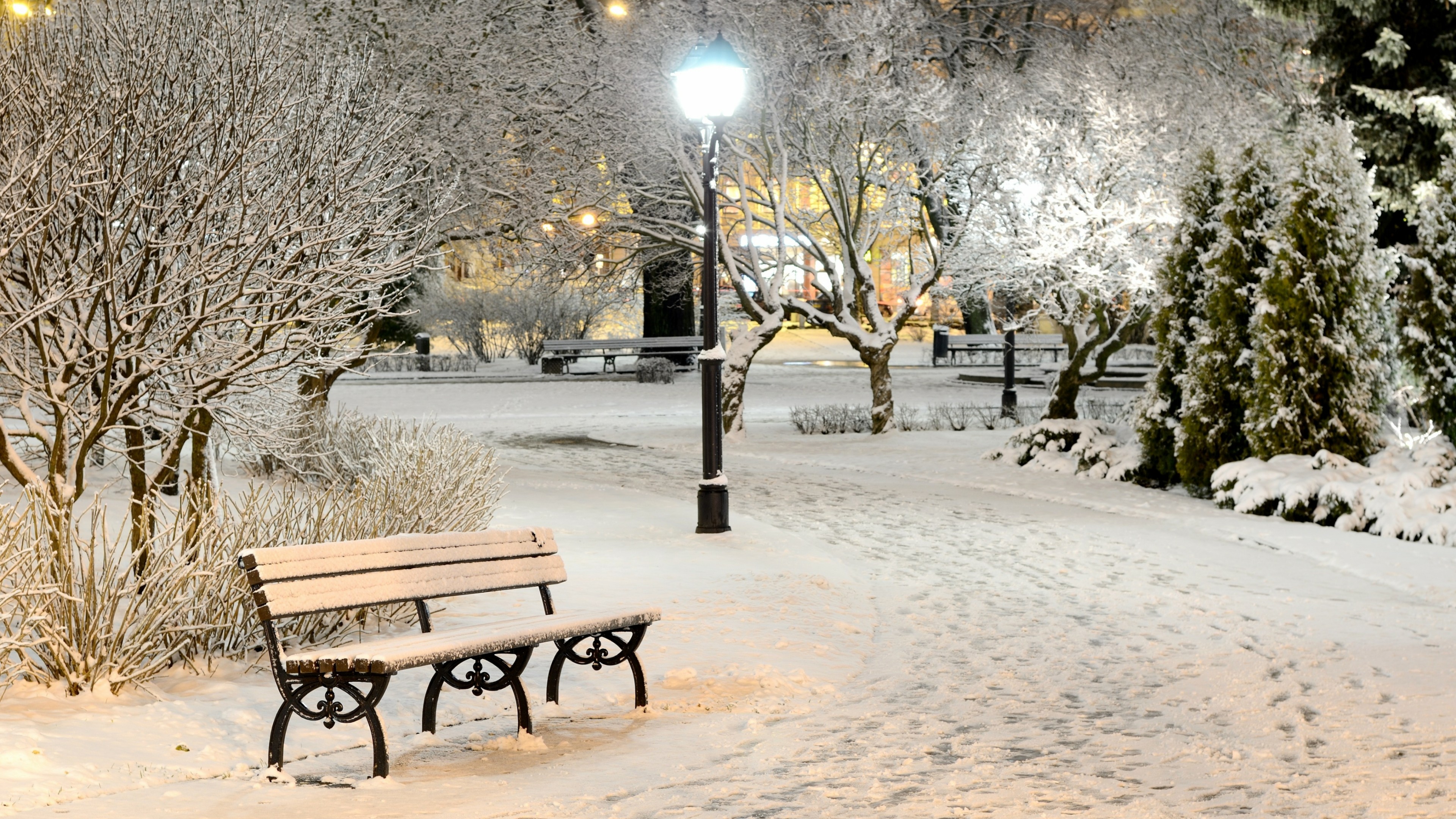 Snowy bench