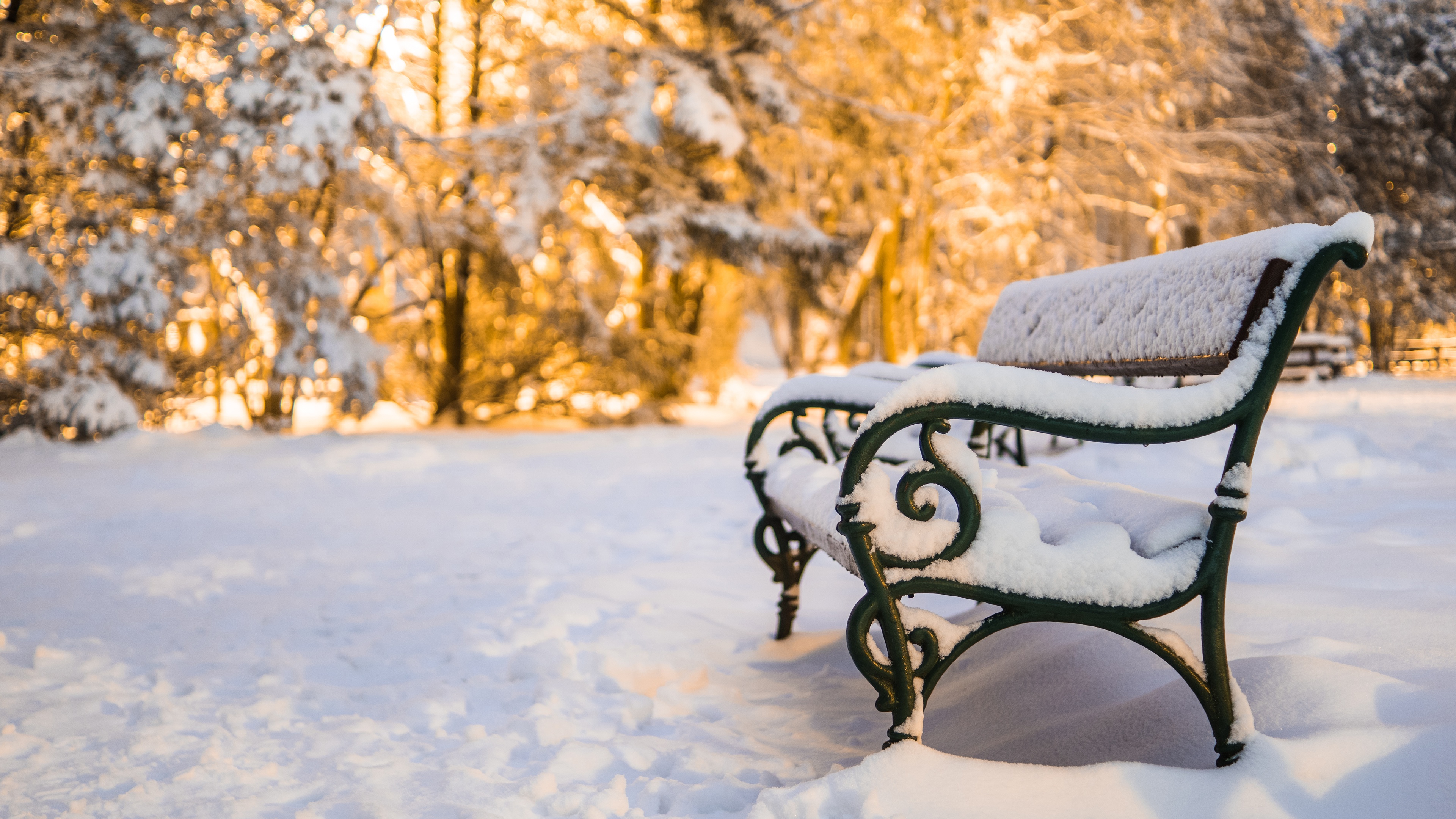 A Bench Covered in Winter Snow