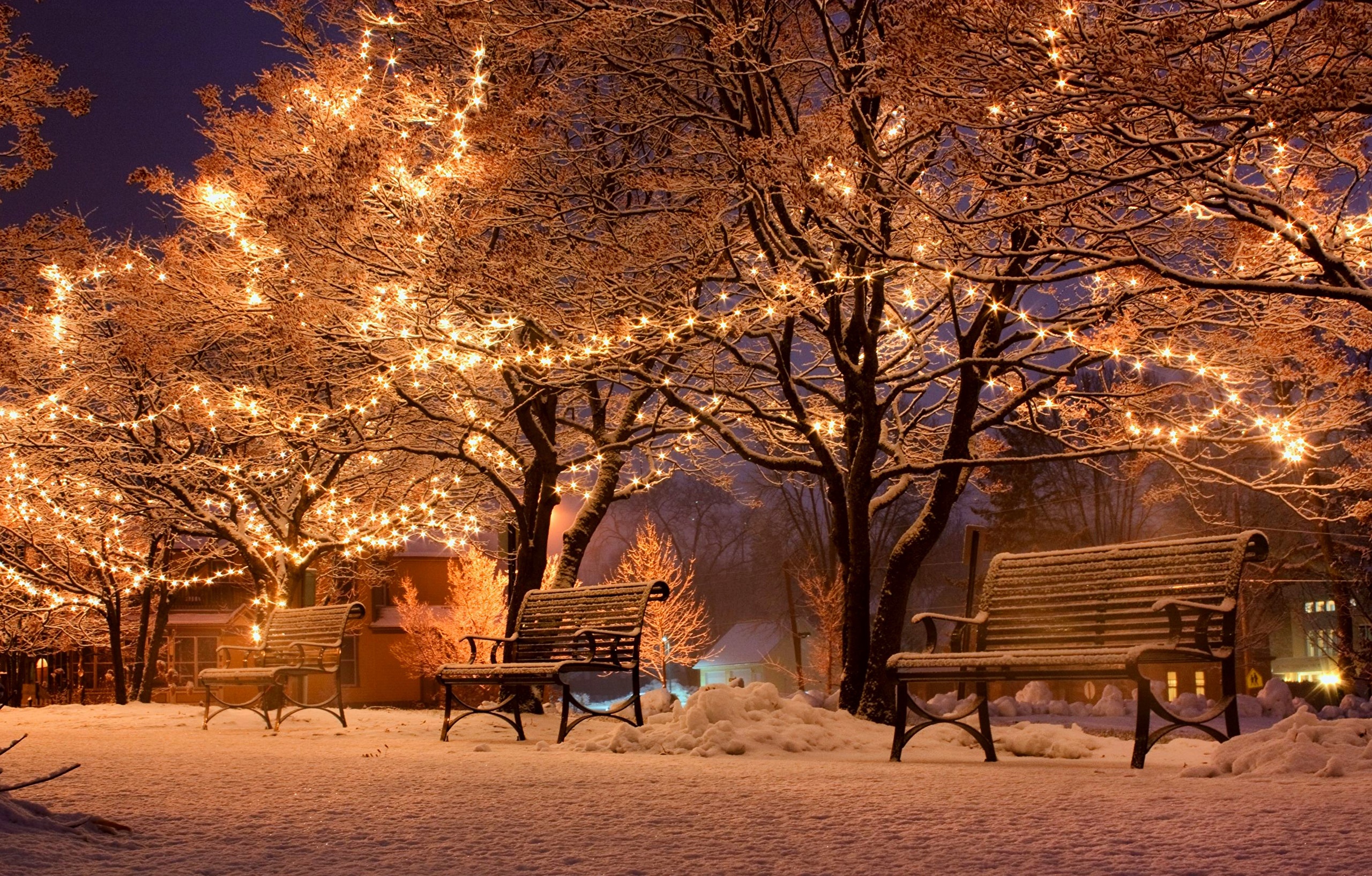 Picture Christmas Winter Nature park Snow Bench Night 2560x1634