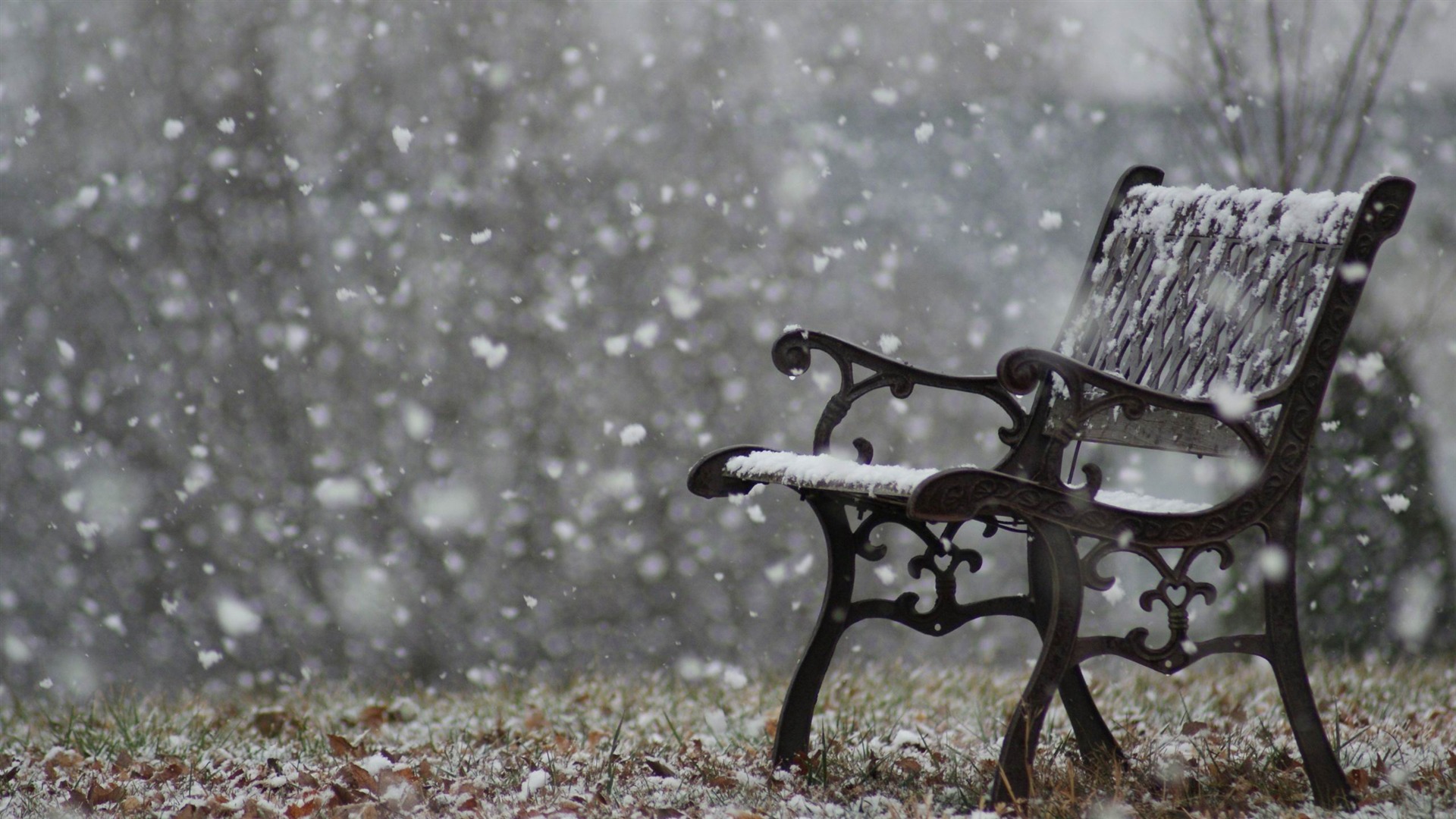 Snowy Bench Winter Snow Scenes Wallpaper